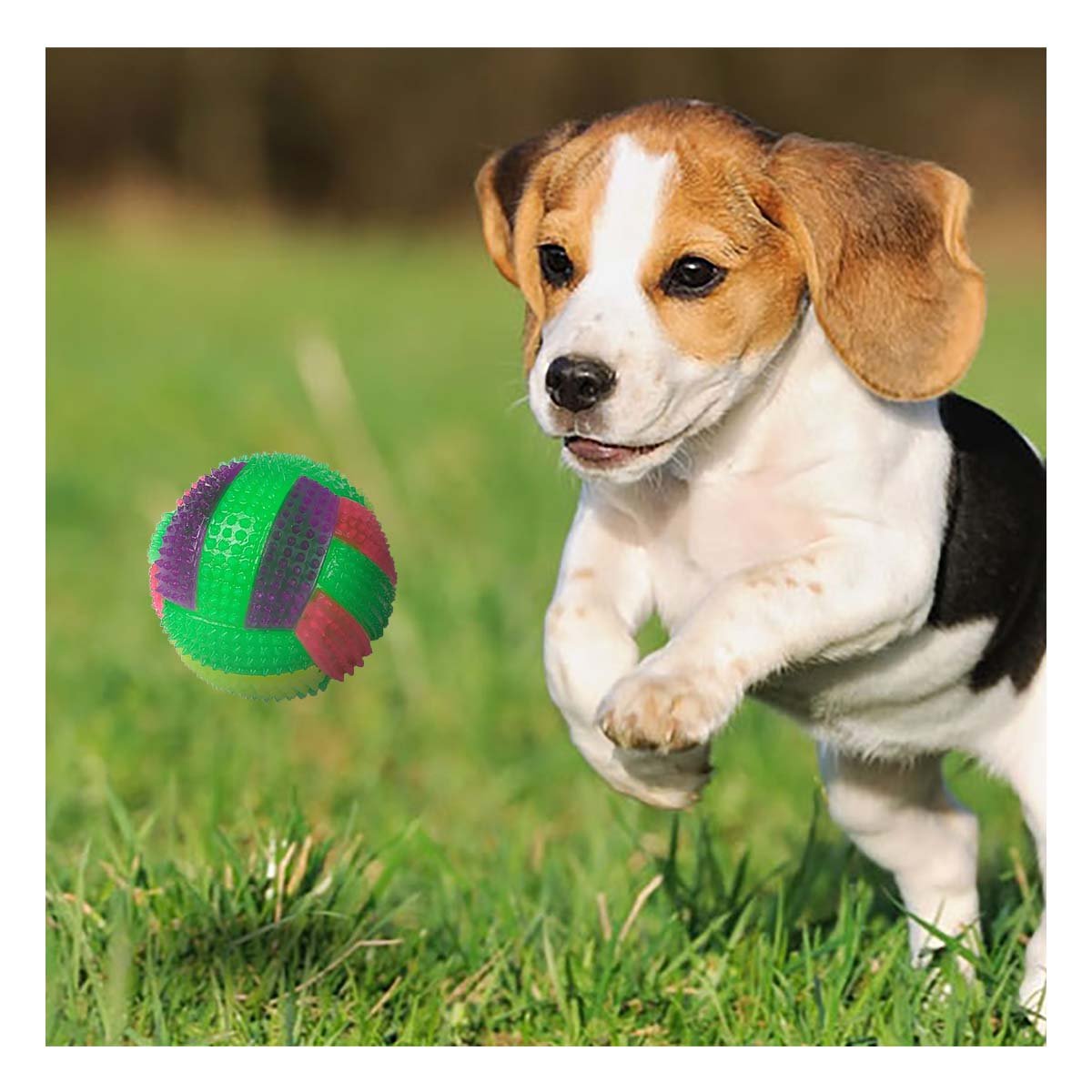 PACK6 ARTICULO CANINO PARA JUEGO ACTIVO EN INTERIOR Y EXTERIOR VERDE - 2