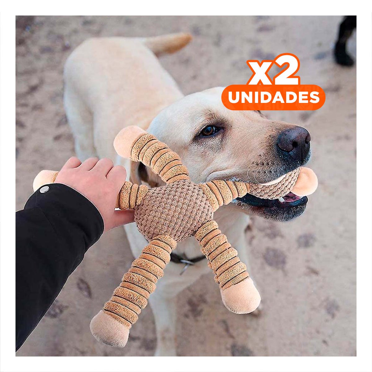 PACK2 AMIGO PARA MASCOTAS EN FORMA DE OSO MOSTAZA Y+REGALO STICKER - 1