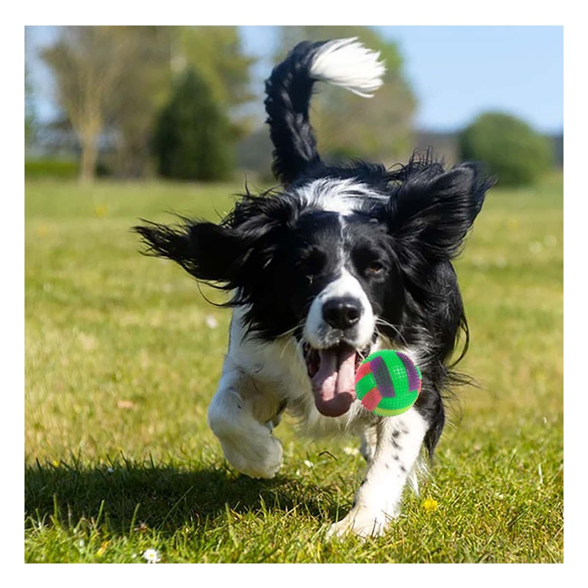 PACK12 DIVERSION RODANTE PARA MASCOTAS CON SONIDO VERDE Y+REGALO STICKER - 3