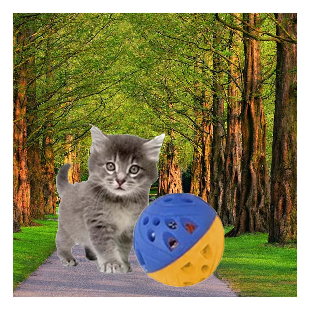 PACK6 APARATO CON SONIDO PARA MANTENER ACTIVAS A MASCOTAS AZUL Y AMARILLO - 5