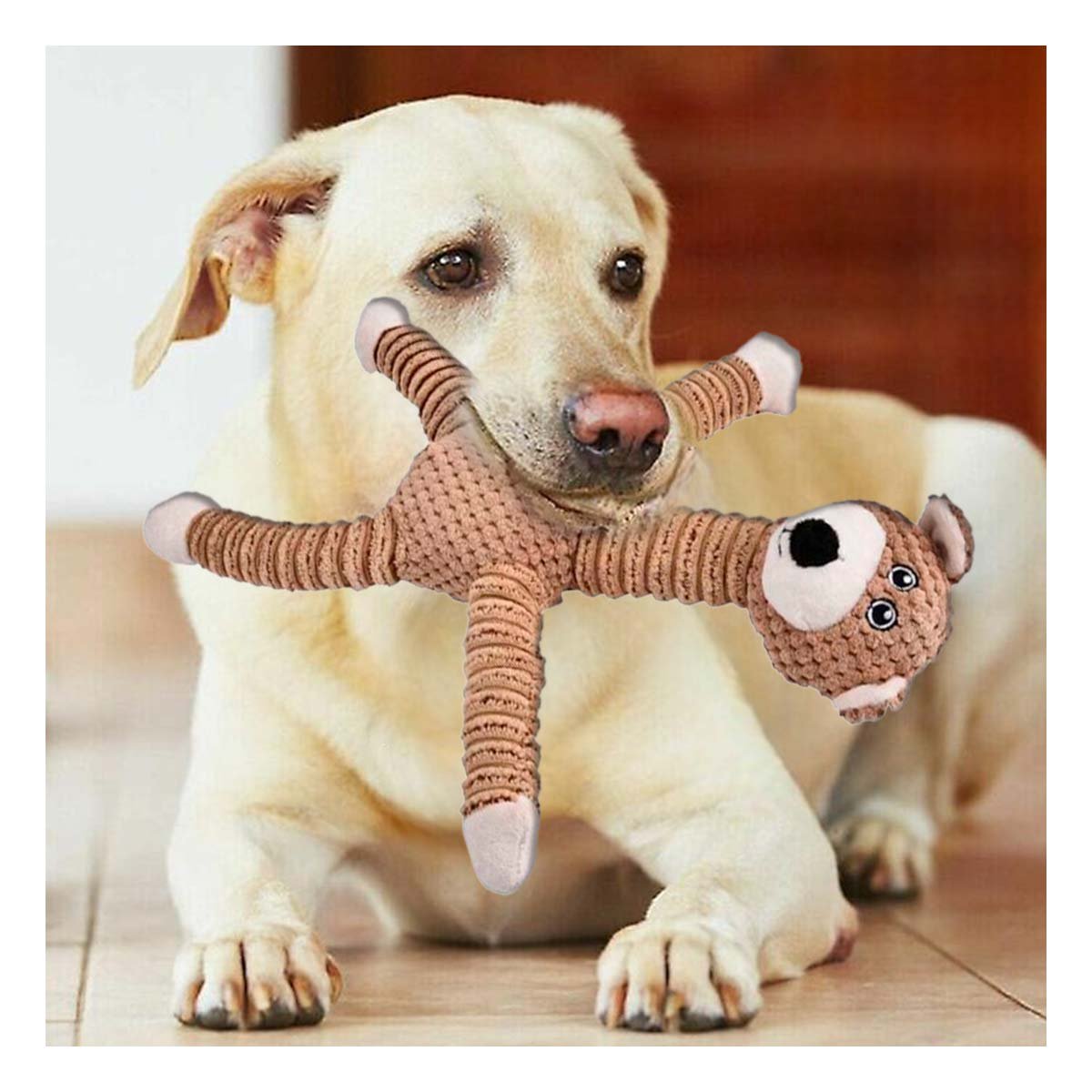 PACK2 AMIGO OSO PARA MASCOTAS CON SONIDO Y PATAS LARGAS MOSTAZA - 3