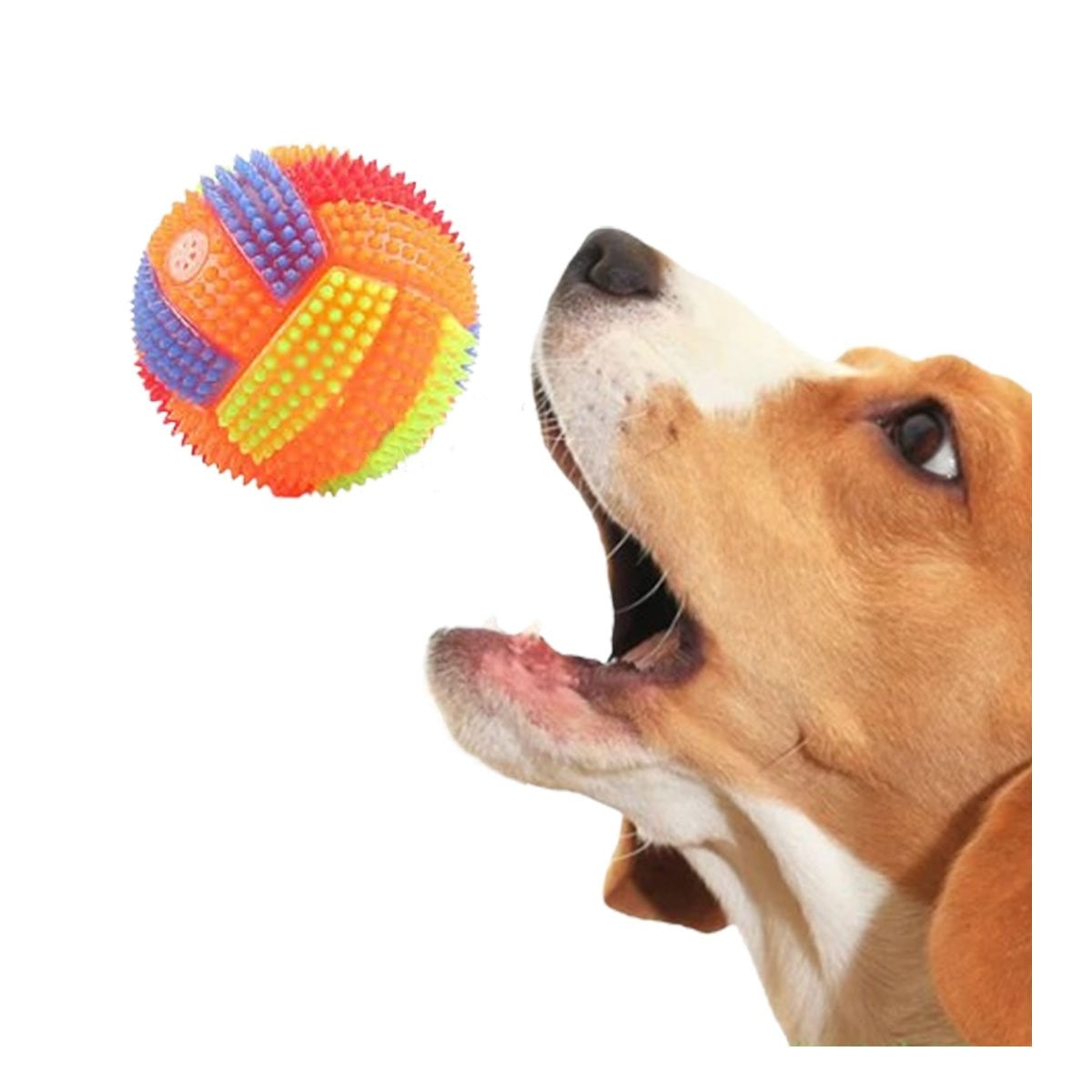 PACK12 APARATO QUE FASCINA A MASCOTAS CON RAYAS Y SONIDO NARANJA Y+REGALO STICKER - 2