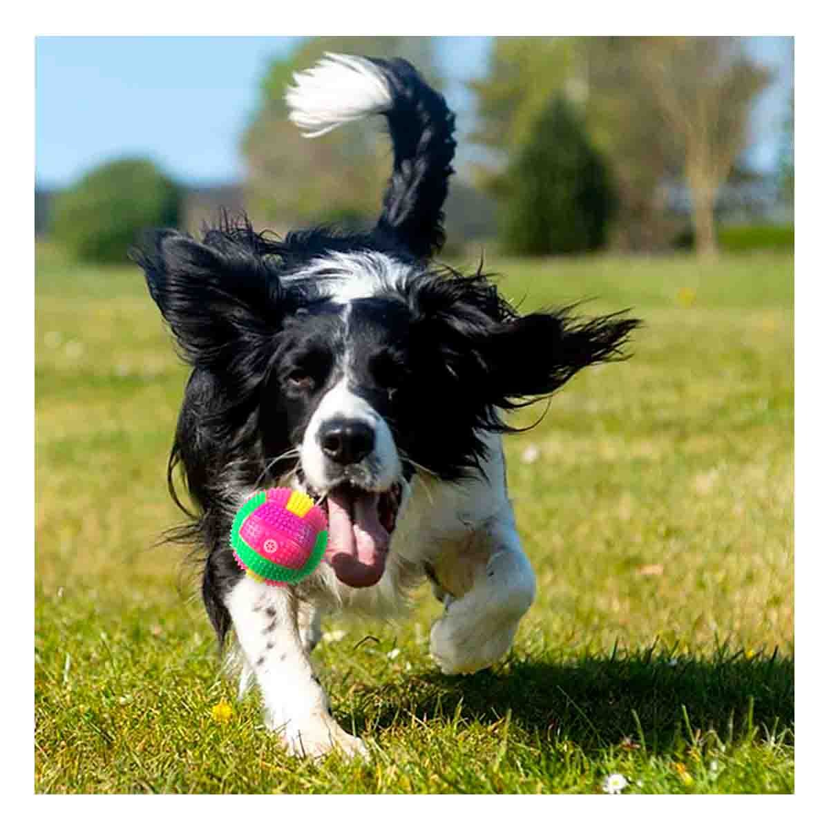PACK2 JUGUETE PARA MASCOTAS CON RAYAS MULTICOLOR QUE EMITE LUZ Y SONIDO ROSADO - 3