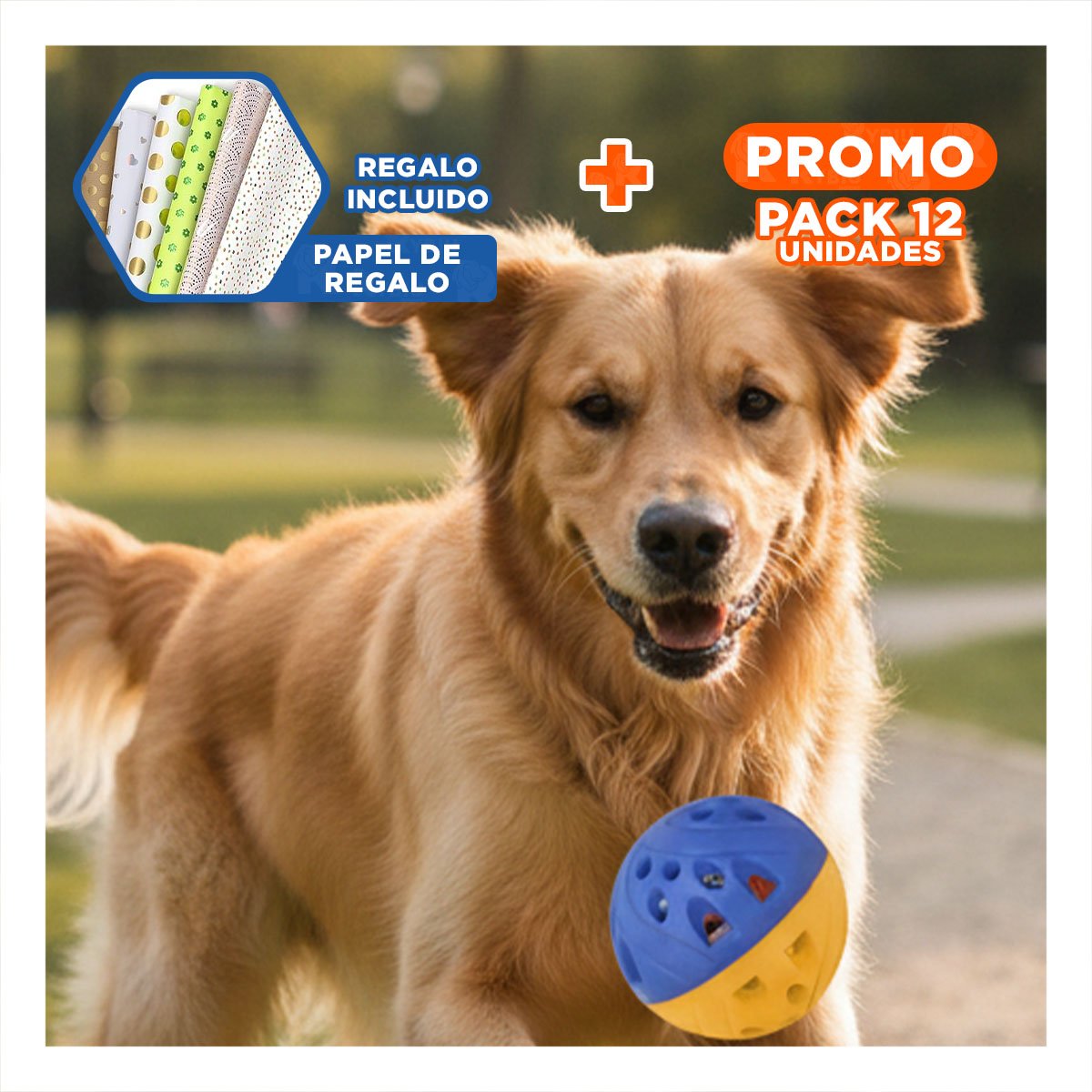 PACK12 BALON QUE MOTIVA MOVIMIENTO Y DIVERSION DE MASCOTAS AZUL Y AMARILLO Y+PAPEL REGALO - 1