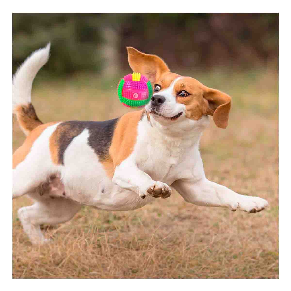 PACK4 JUGUETE CON EFECTOS LUMINOSOS Y SONOROS QUE ESTIMULA EL JUEGO DE MASCOTAS ROSADO - 5