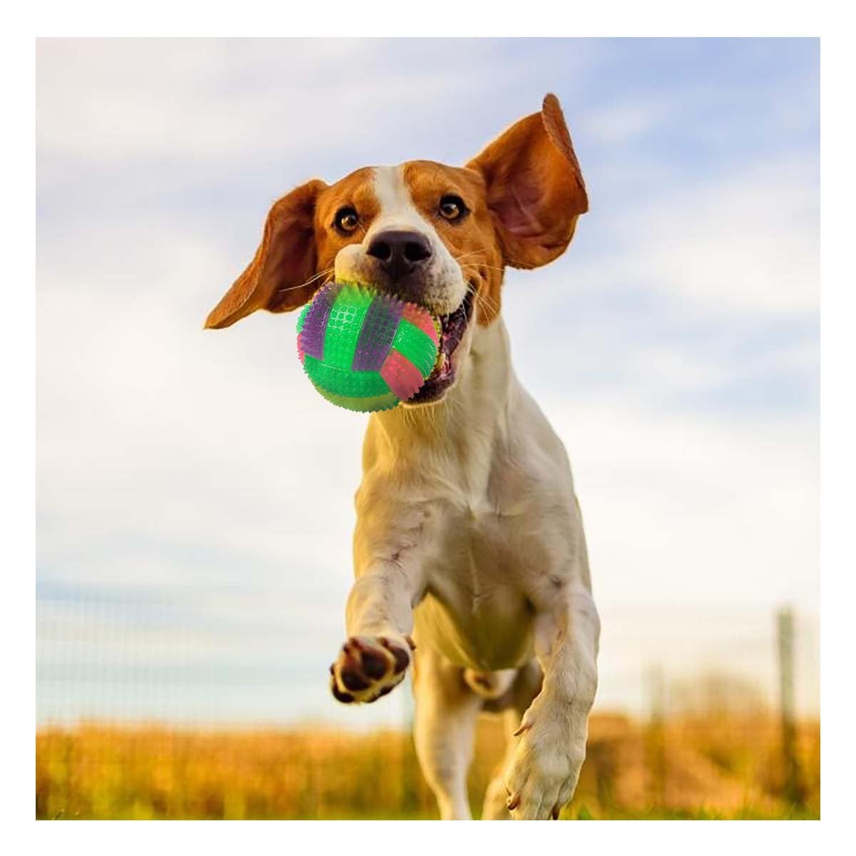 PACK2 ACCESORIO CANINO CON FUNCION DE LUZ Y SONIDO INTEGRADO VERDE - 5