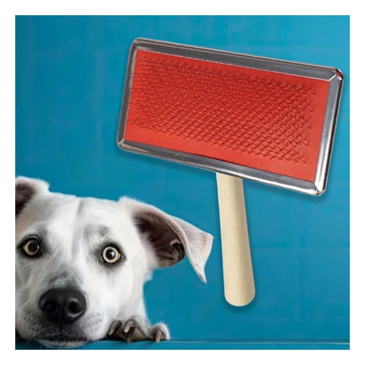 PACK4 CARDA RESISTENTE METAL CON MANGO DE MADERA PARA MASCOTAS Y+REGALO STICKER - 5