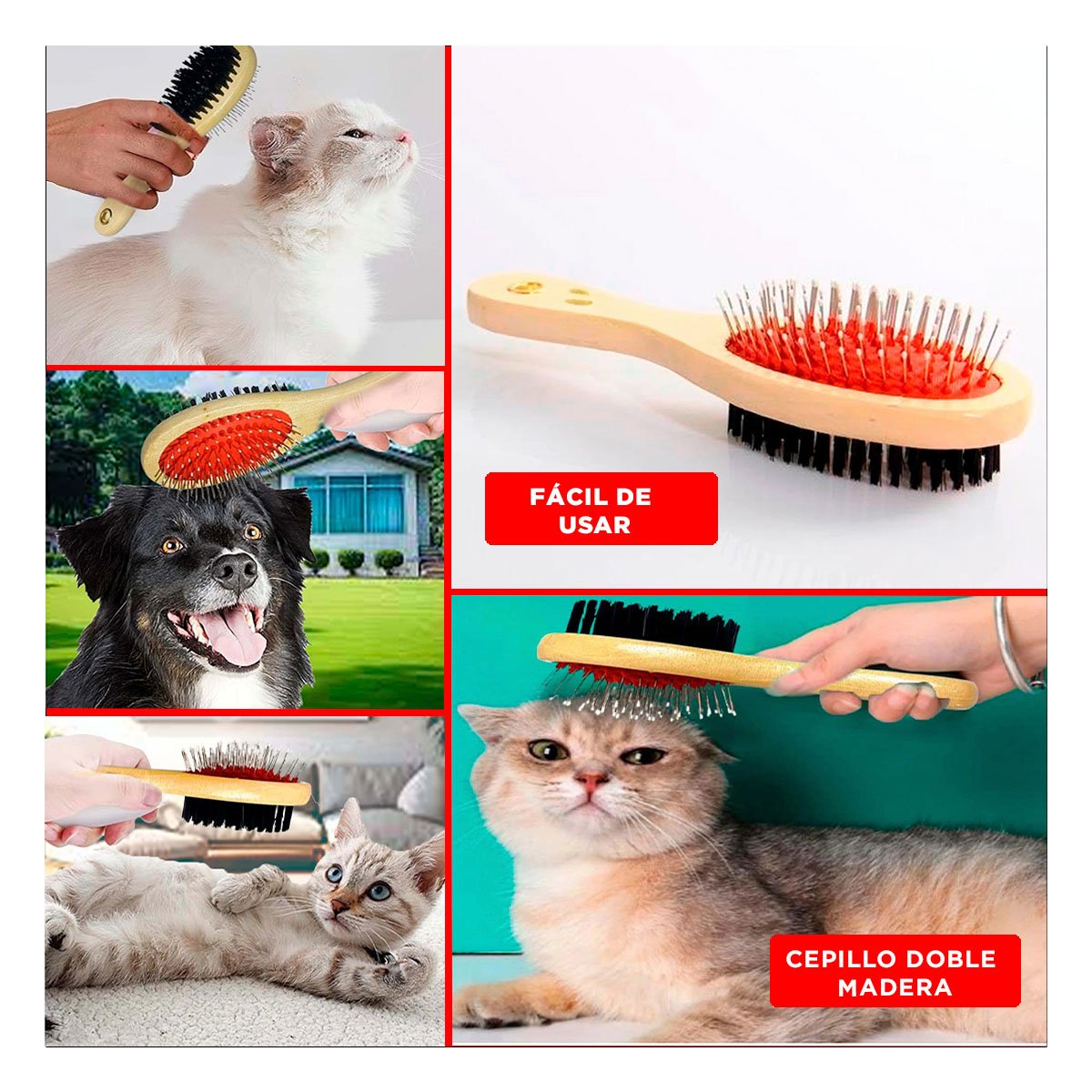 PACK4 CARDA REFORZADA DE DOBLE CARA PARA MASCOTAS USO DIARIO EN CASA Y+REGALO STICKER - 2