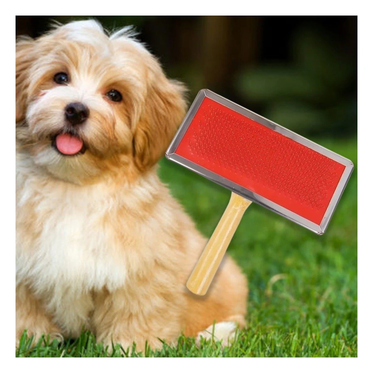 PACK4 CEPILLO RESISTENTE METAL ROJO CON MANGO DE MADERA PARA MASCOTAS - 2