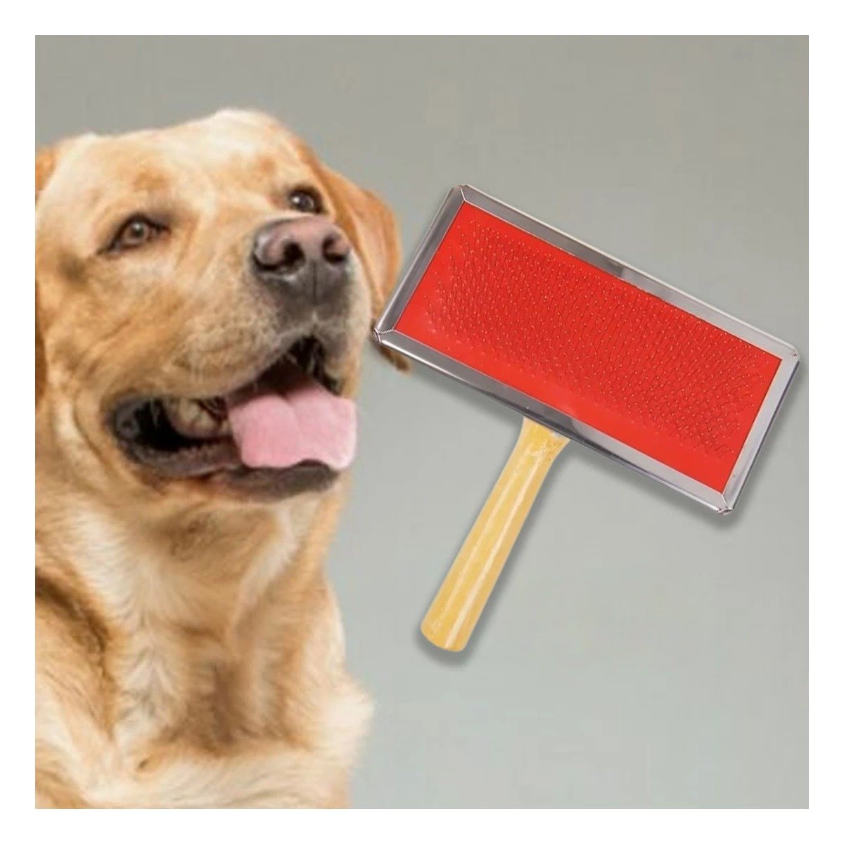 PACK6 DESENREDADOR RESISTENTE METAL CON MANGO DE MADERA - 2
