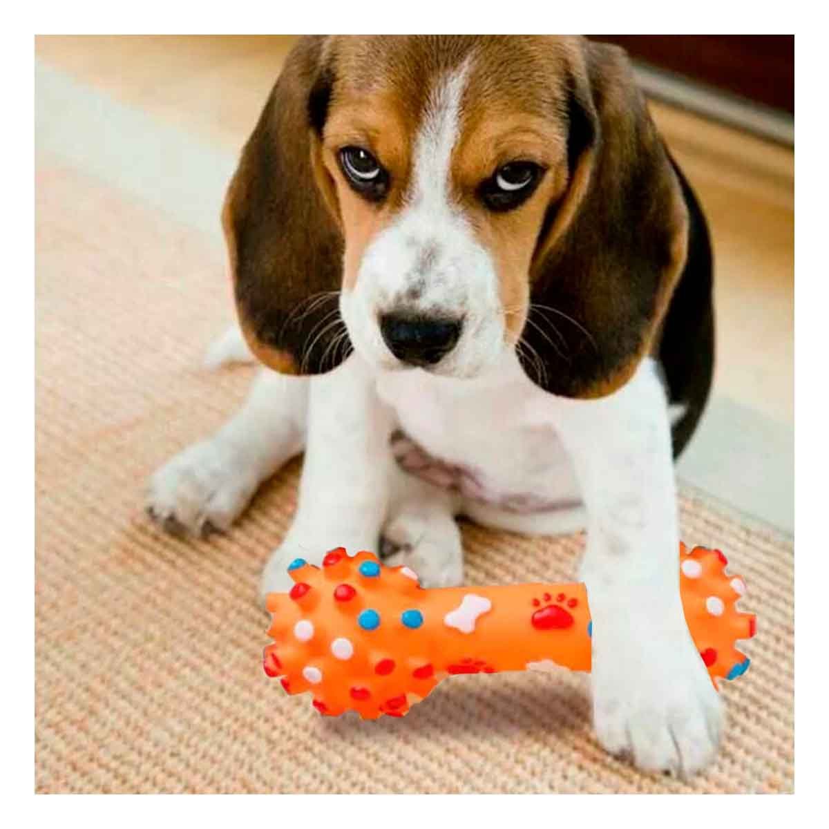 PACK2 ENTRETENEDOR PLASTICO HUESO CON PUNTOS PARA PERRO ACTIVO - 5