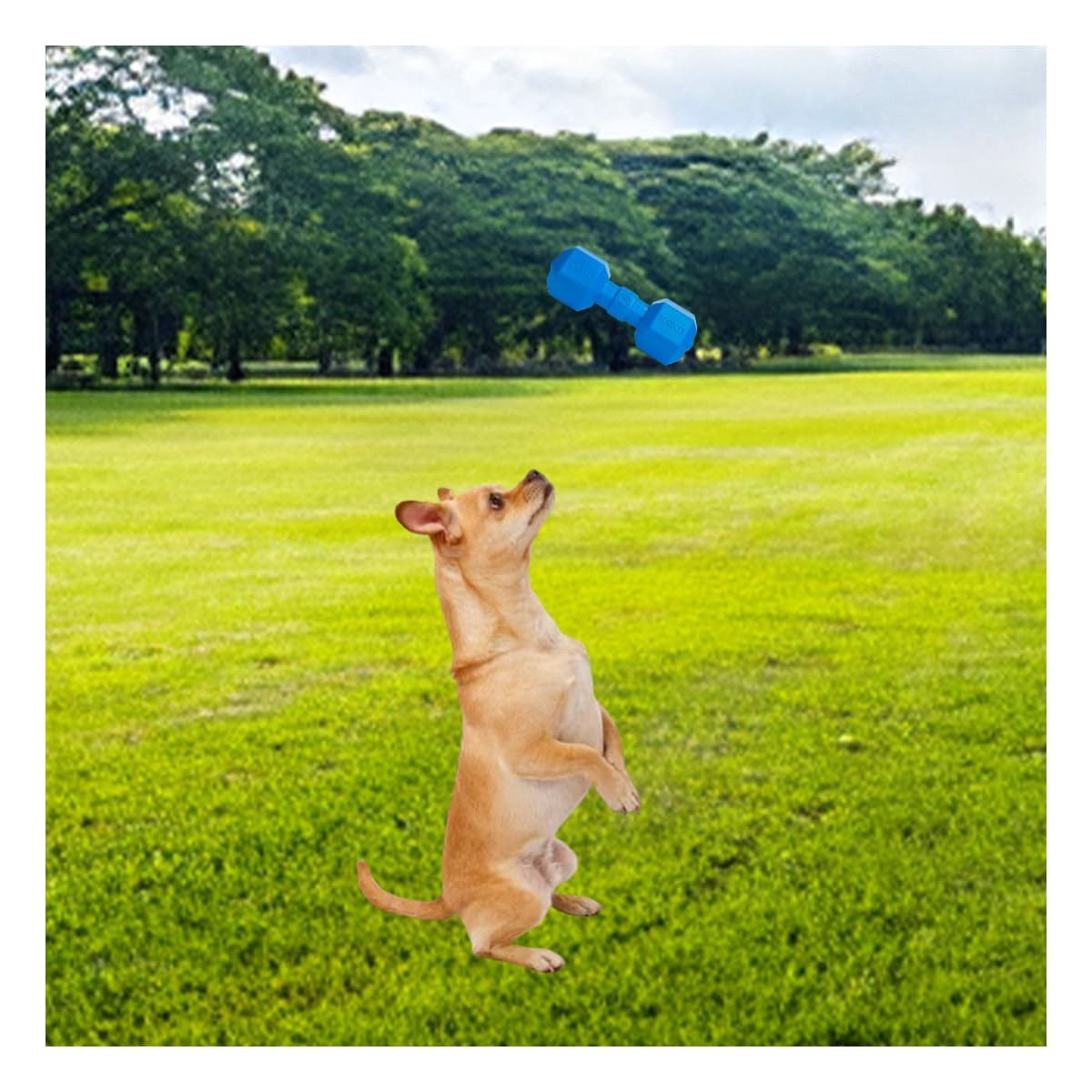 PACK4 ARTICULO INTERACTIVO DE CAUCHO PESAS AZUL PARA PERRO FUERTE Y+PAPEL REGALO - 1