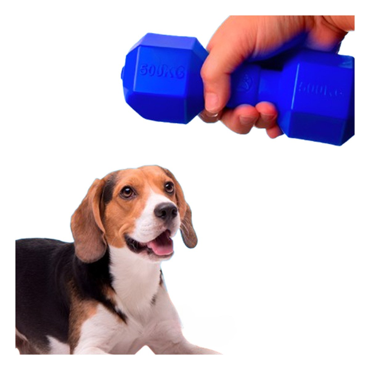 PACK4 ARTICULO INTERACTIVO DE CAUCHO PESAS AZUL PARA PERRO FUERTE Y+PAPEL REGALO - 3
