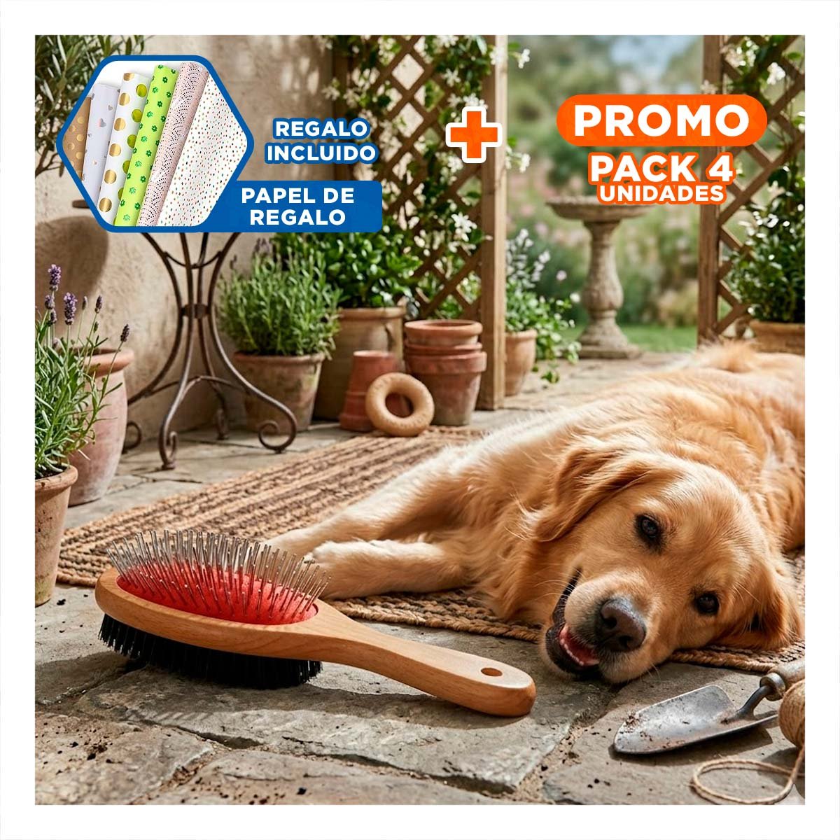 PACK4 PEINETA REFORZADA DE DOBLE CARA PARA MASCOTAS EN HOGAR DIARIO Y+PAPEL REGALO - 1