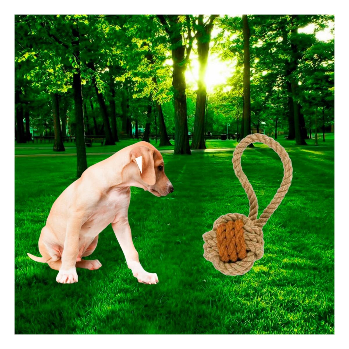 PACK4 REFORZADO SOGA CON PELOTA DE SOGA MOSTAZA PARA PERRO FUERTE HOGAR - 5