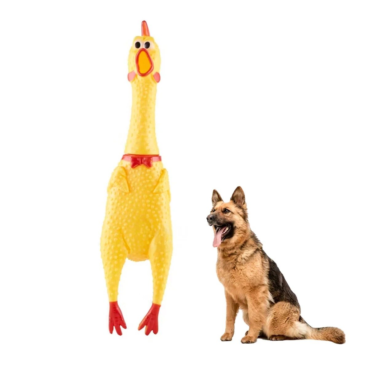 PACK4 OPCION POLLO SONORO AMARILLO TALLA L PARA PERRO GRANDE Y+PAPEL REGALO - 3