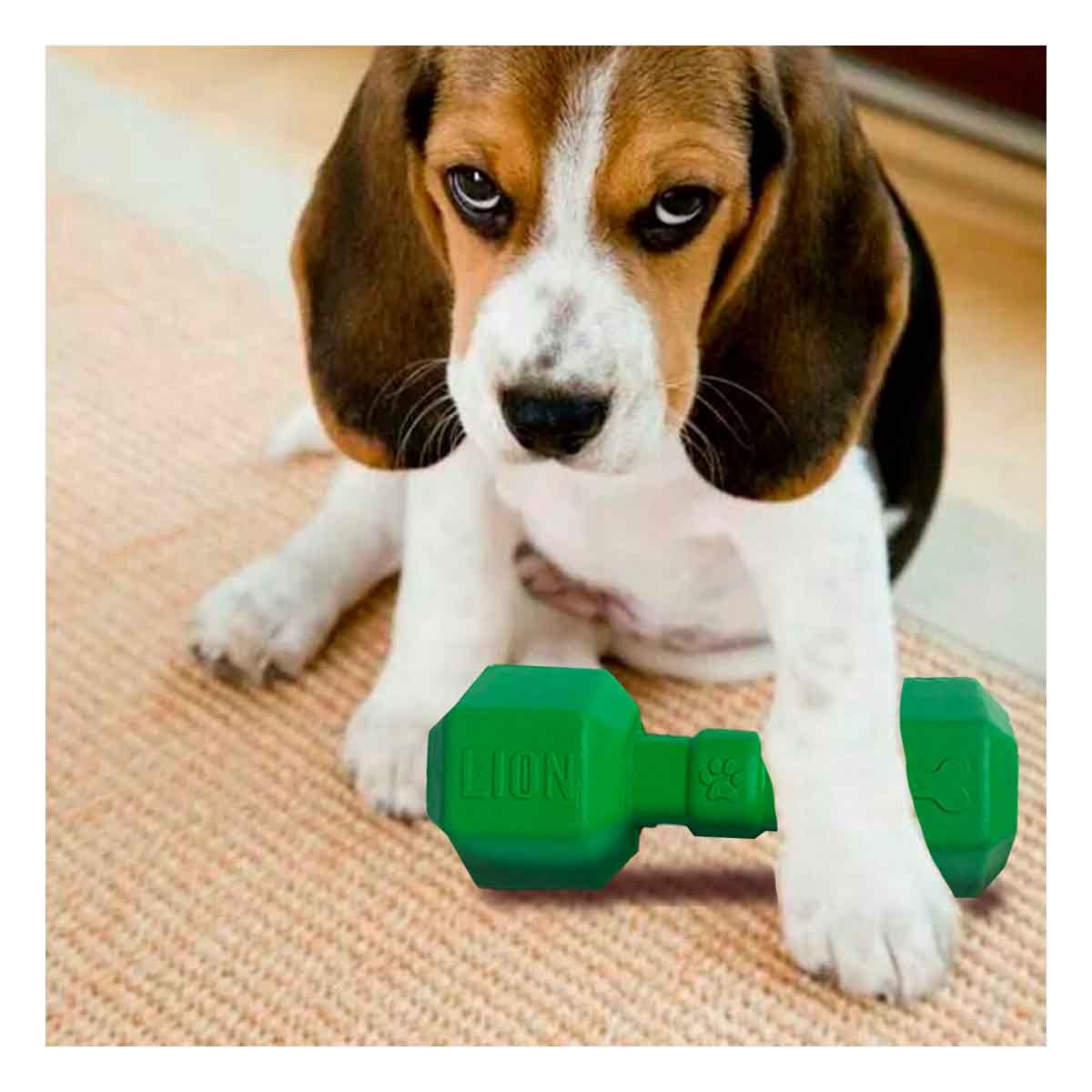 PACK4 COMPONENTE DE CAUCHO TIPO PESAS PARA PERRO VERDE DURADERO CONFIABLE - 3