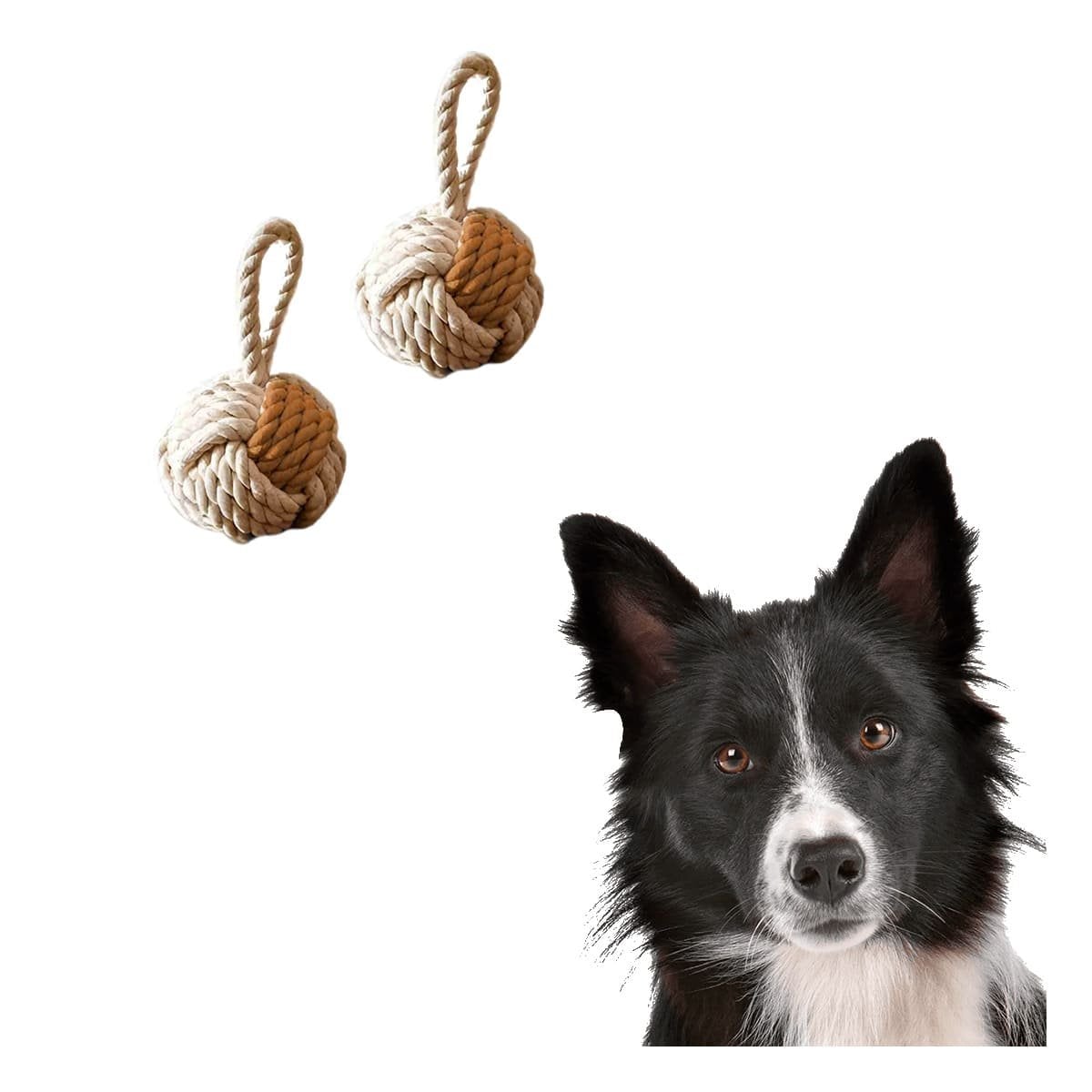 PACK6 DOMESTICO SOGA CON PELOTA MOSTAZA PARA PERRO ACTIVO RESISTENTE CASA Y+REGALO STICKER - 2