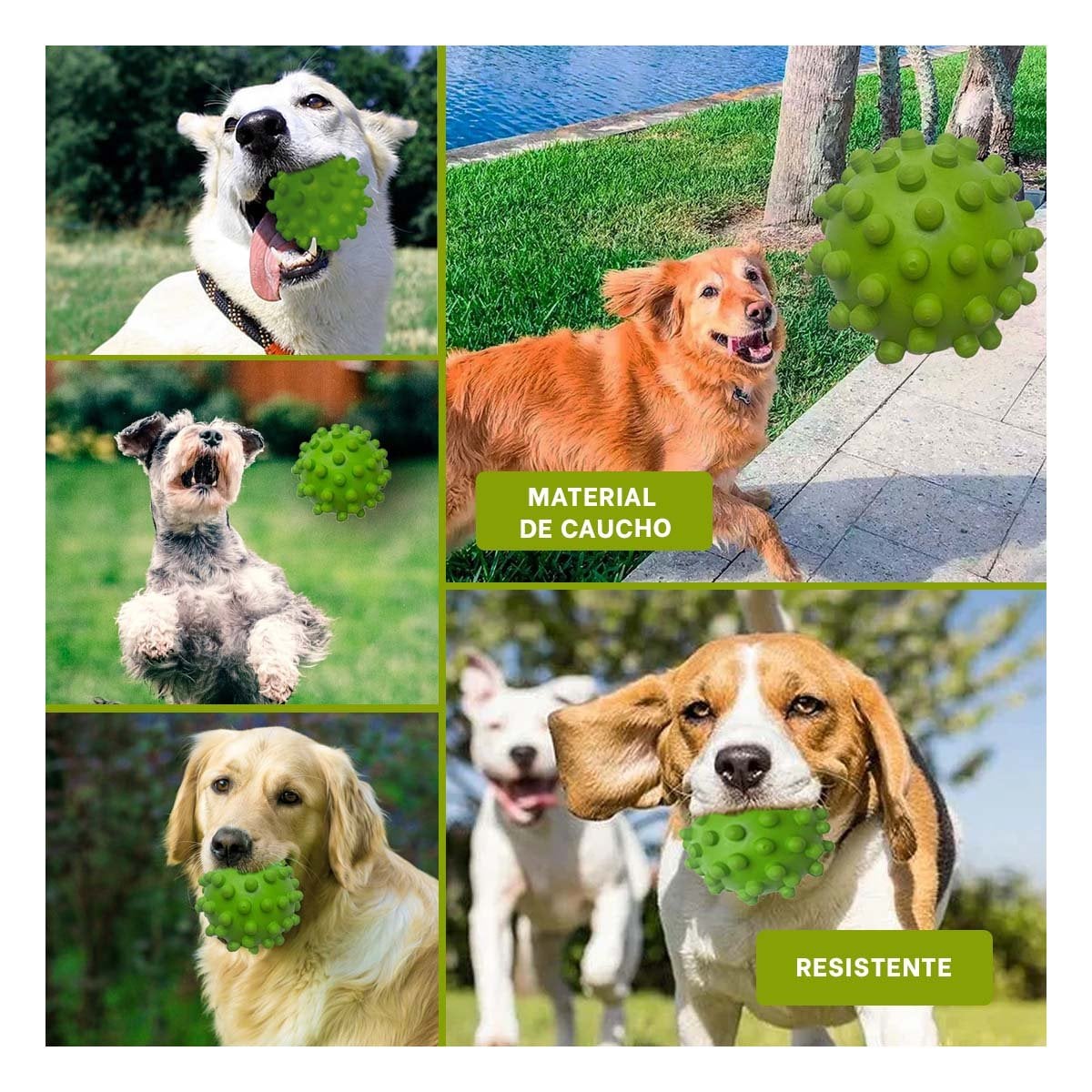 PACK4 JUGUETE DE CAUCHO REFORZADO VERDE PARA PERRO MUYRESISTENTES Y+REGALO STICKER - 2