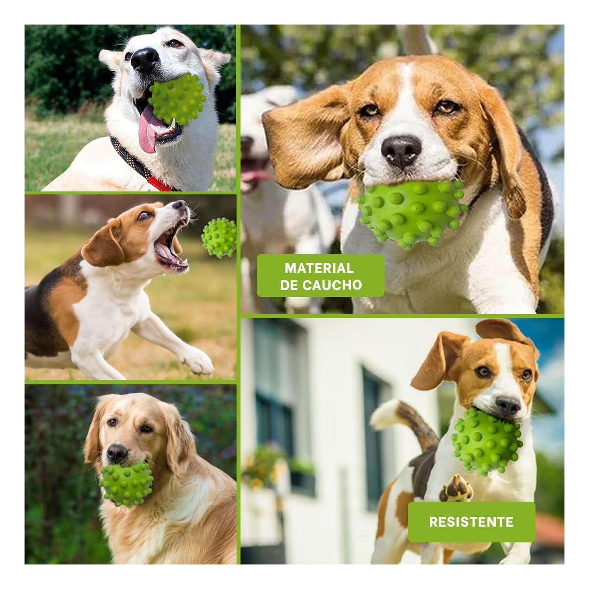 PACK4 DISPOSITIVO CANINO DE CAUCHO VERDE GRANDE CON DISENO ERGONOMICO Y+REGALO STICKER - 2