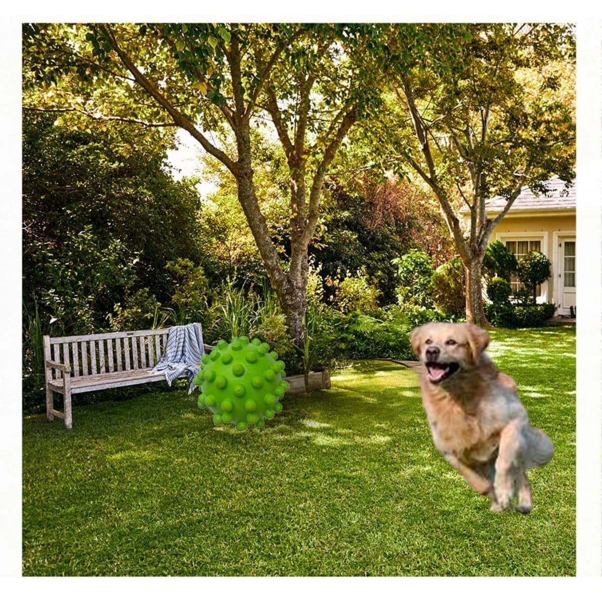 PACK6 BOLA DE CAUCHO REFORZADO VERDE PARA PERRO SUPERRESISTENTE MAX Y+PAPEL REGALO - 1