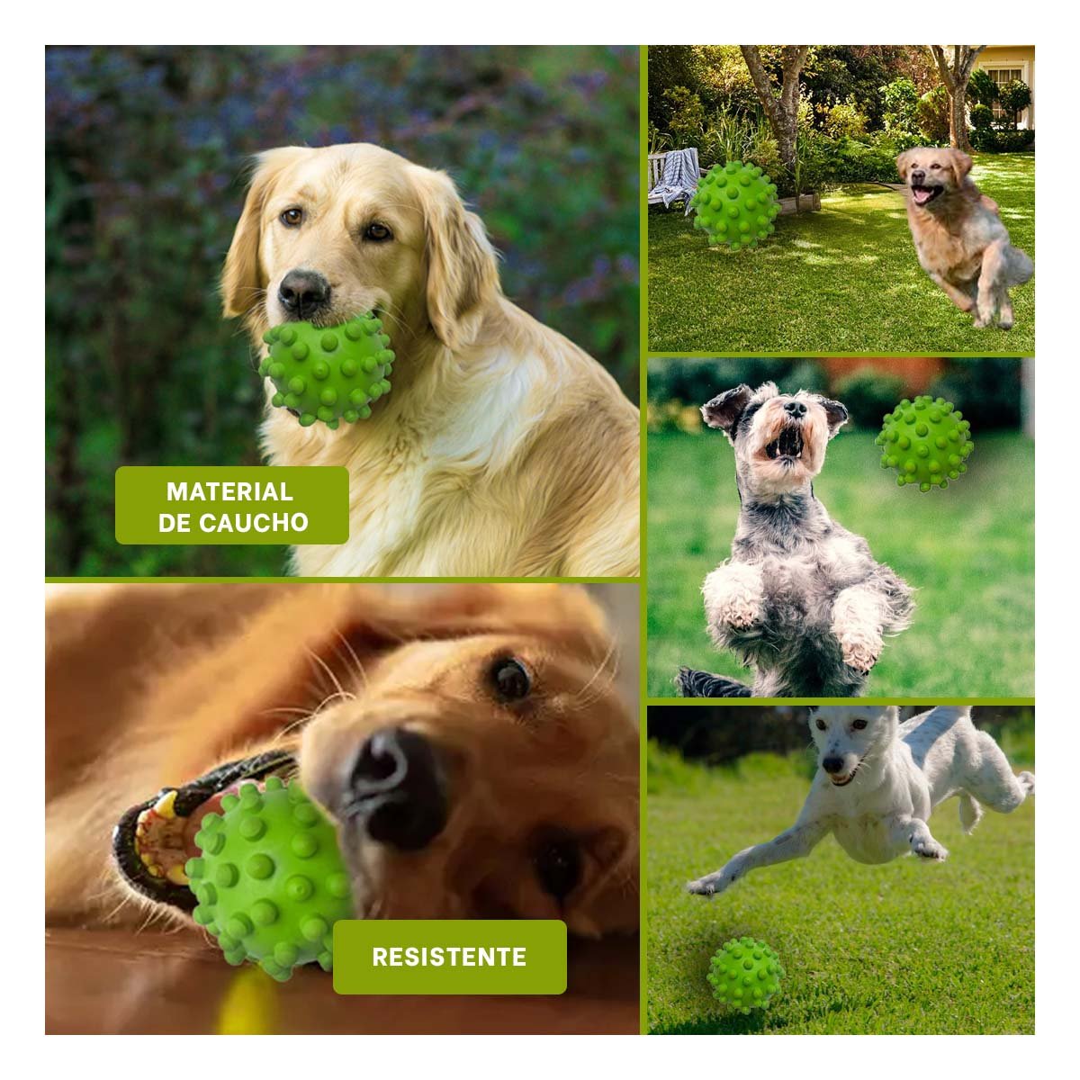 PACK6 BOLA DE CAUCHO REFORZADO VERDE PARA PERRO SUPERRESISTENTE MAX Y+PAPEL REGALO - 3