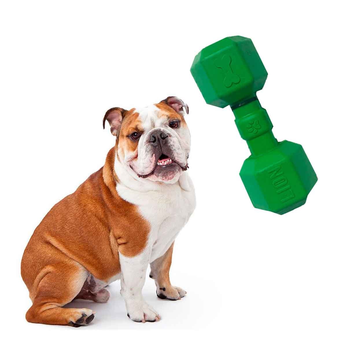 PACK4 UNIDAD DE CAUCHO PESAS PARA PERRO VERDE RESISTENTE Y FIRME SOLIDO Y+PAPEL REGALO - 3