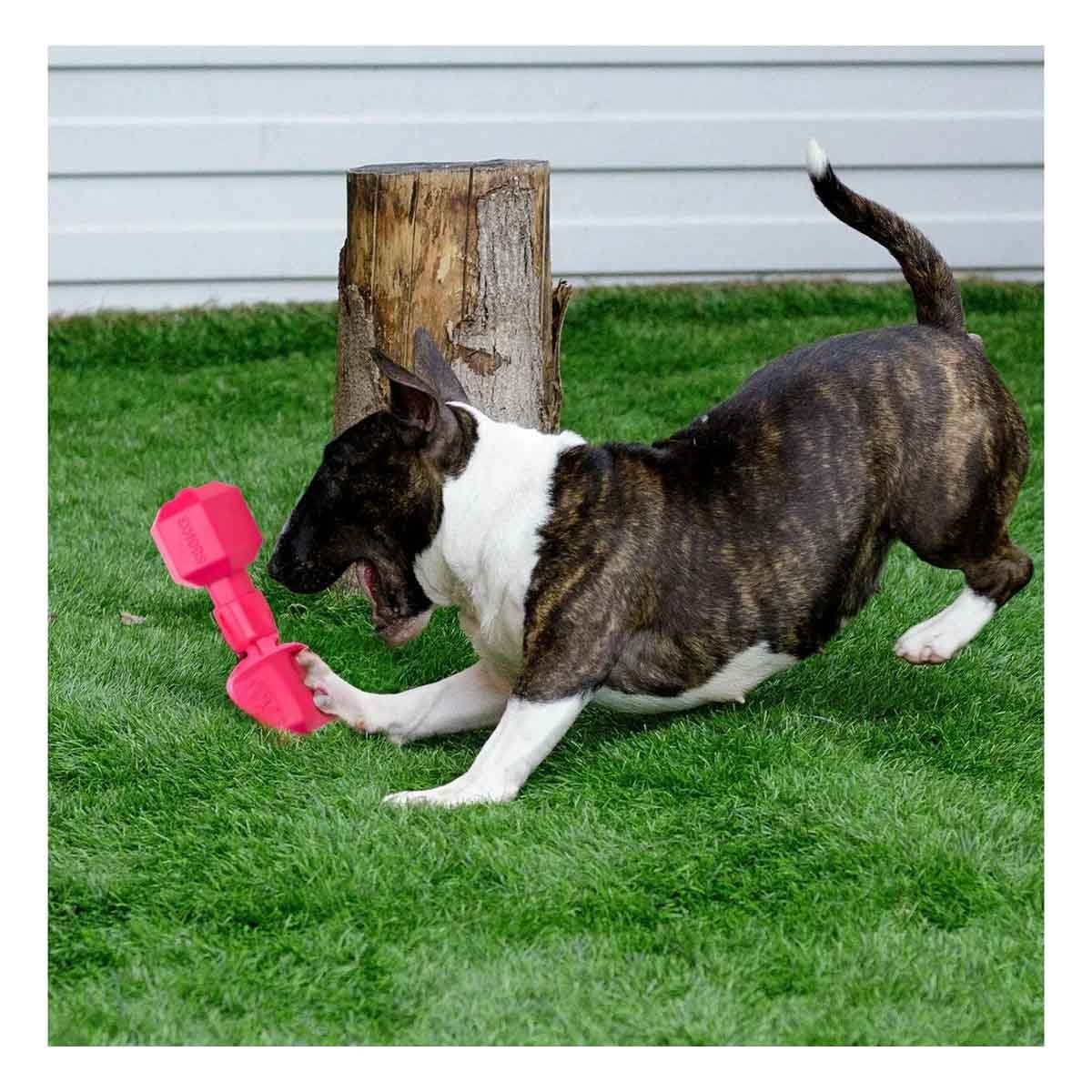 PACK2 ACCESORIO ACTIVO DE CAUCHO CON PESAS ROSADO PARA PERRO Y+REGALO STICKER - 5