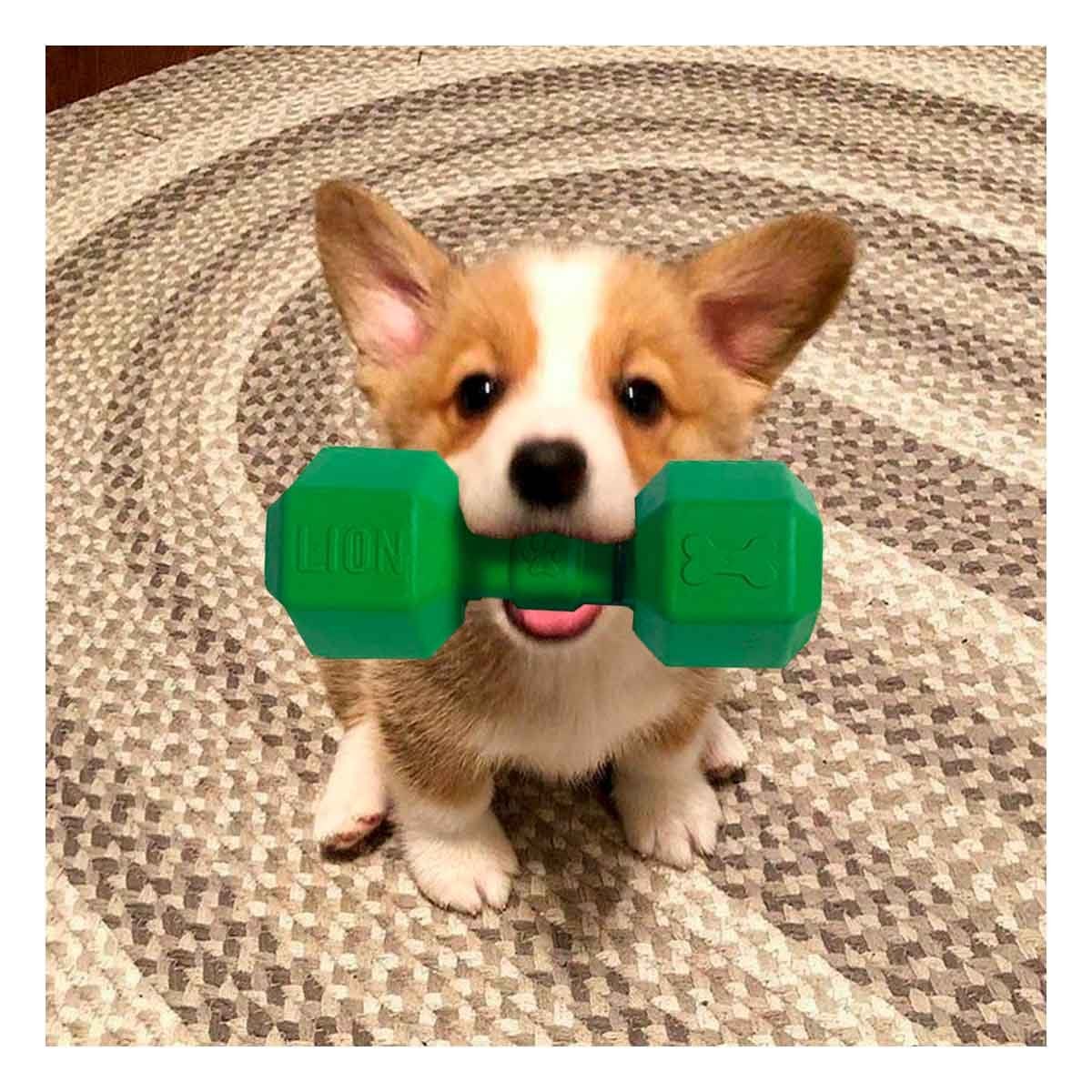 PACK6 ACCESORIO DEPORTIVO DE CAUCHO PESAS PARA PERRO VERDE FUERTE ESTABLE - 3