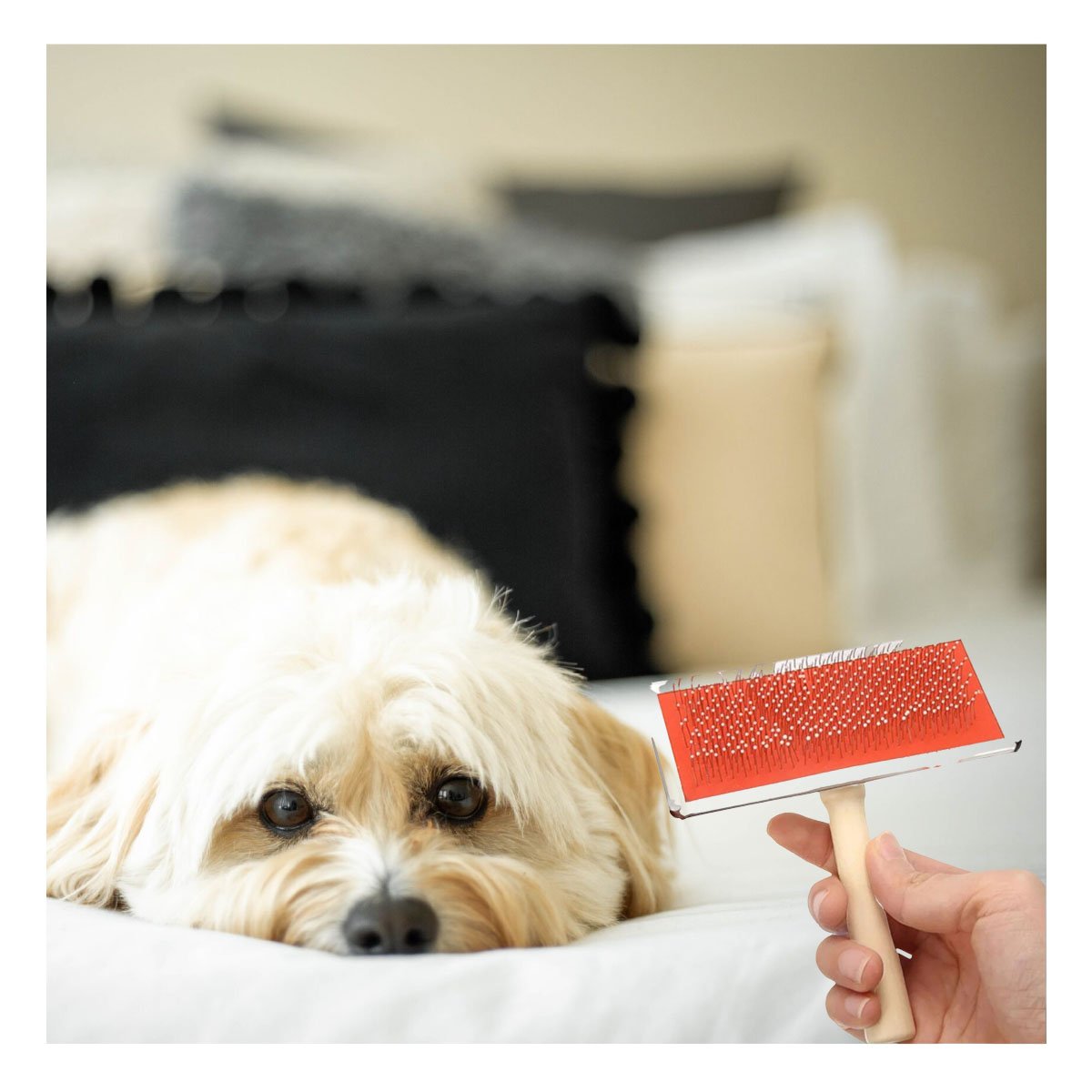 PACK2 CARDA RESISTENTE METAL ROJA CON MANGO DE MADERA PARA MASCOTAS - 5