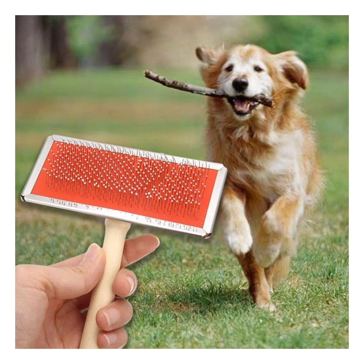 PACK6 PEINE RESISTENTE METAL CON MANGO DE MADERA PARA MASCOTAS Y+PAPEL REGALO - 2