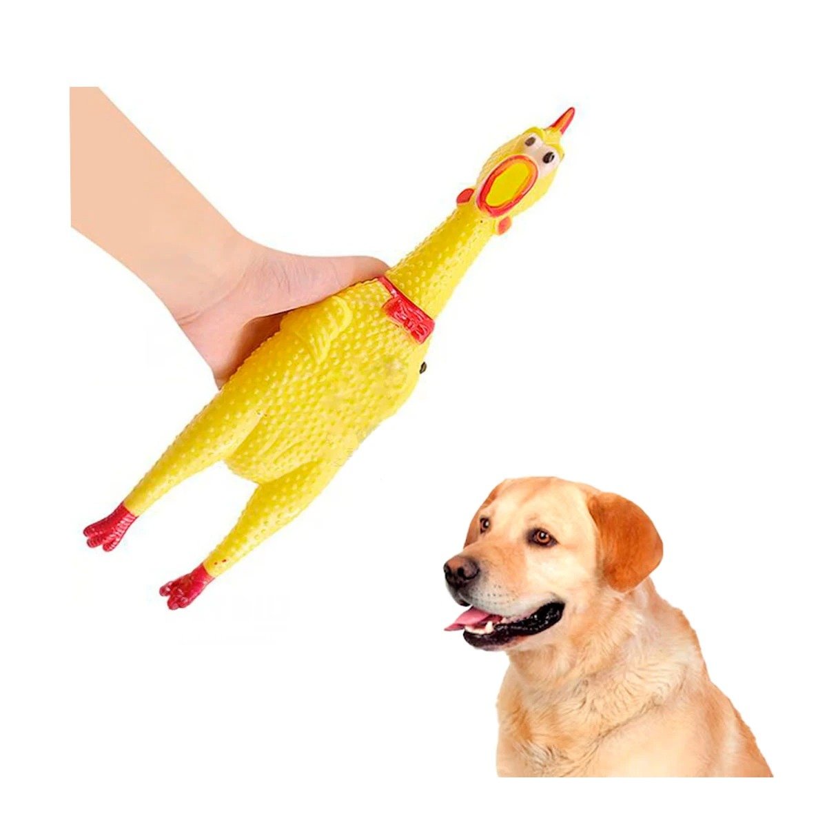 PACK12 ESTILO POLLO CHILLON AMARILLO TALLA L PARA PERRO ACTIVO Y+REGALO STICKER - 2