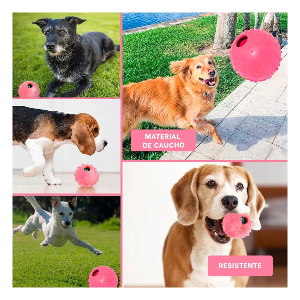 PACK4 FORMATO DE CAUCHO FORMA CHIRIMOLLA MEDIA ROSADO PERRO Y+REGALO STICKER - 2