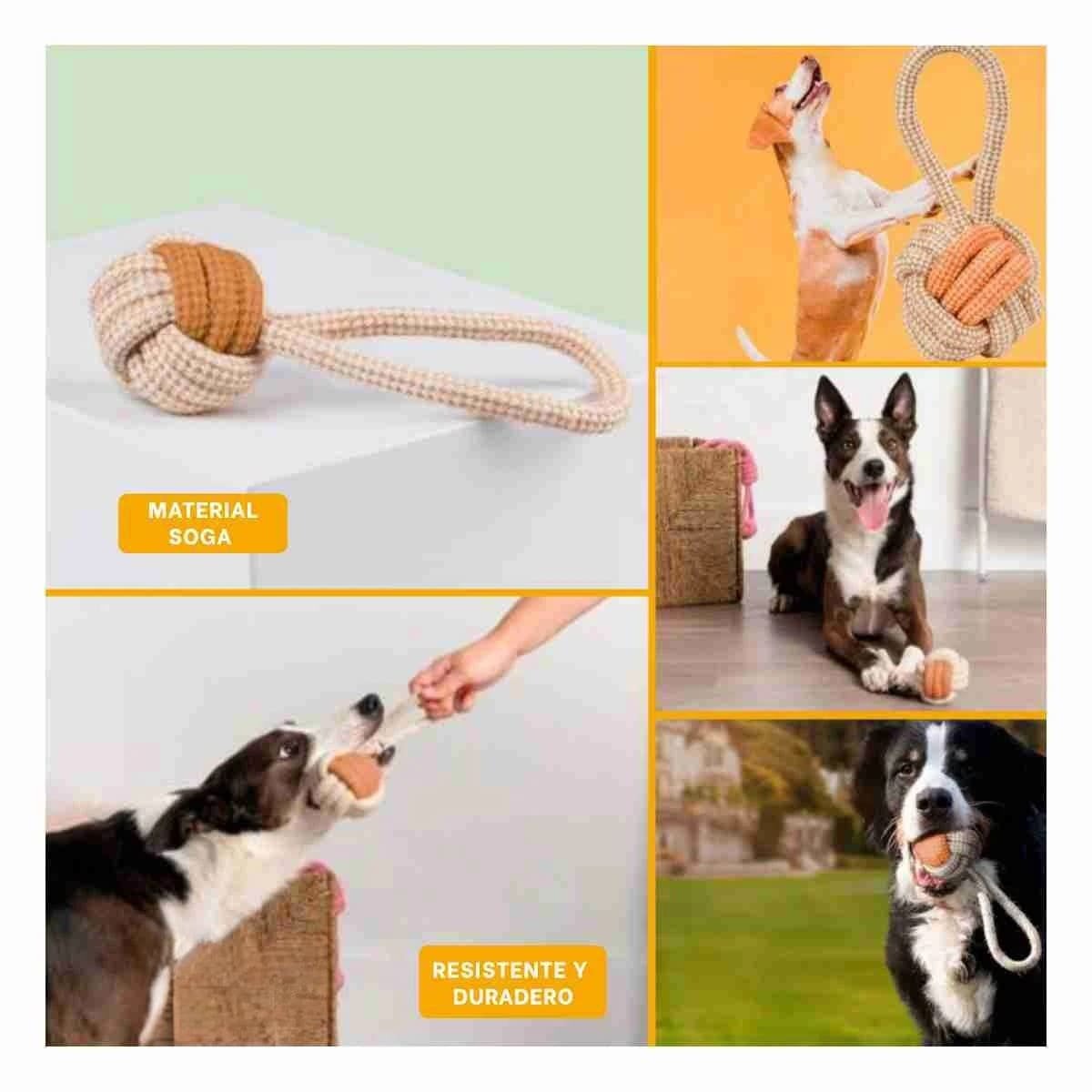 PACK4 ENTRENADOR SOGA CON PELOTA DE SOGA MOSTAZA PARA PERRO FUERTE DIARIO Y+REGALO STICKER - 2