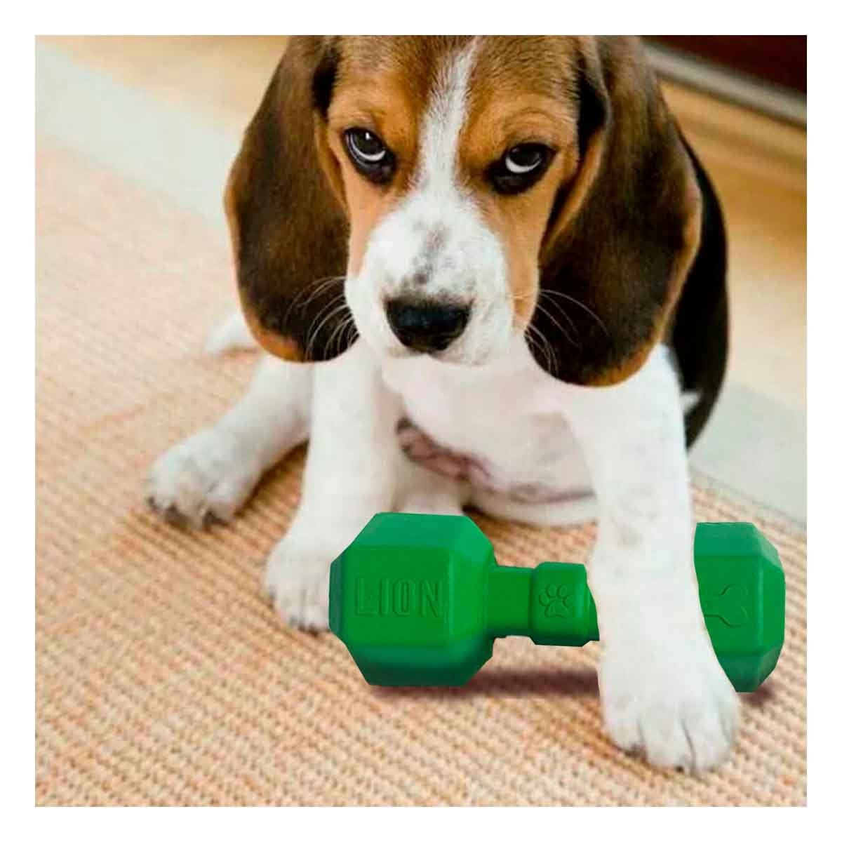 PACK2 ENTRETENEDOR DE CAUCHO PESAS PARA PERRO VERDE SEGURO Y ACTIVO FUERTE Y+REGALO STICKER - 5