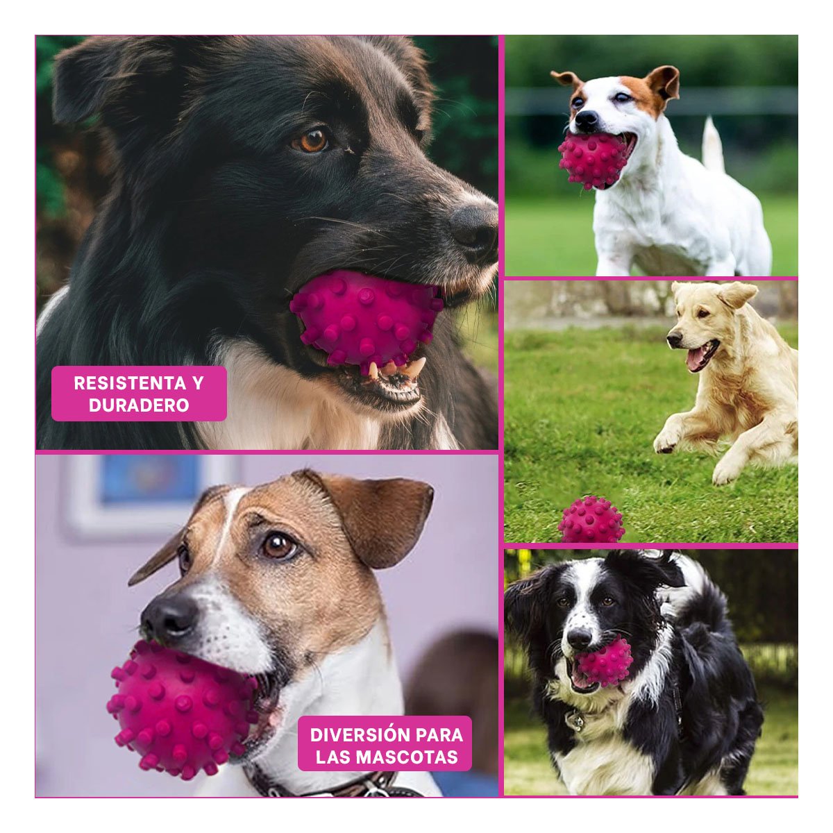 PACK4 DISPOSITIVO DE JUEGO ROSADO GRANDE PARA PERROS CON MATERIAL DURABLE Y+REGALO STICKER - 2
