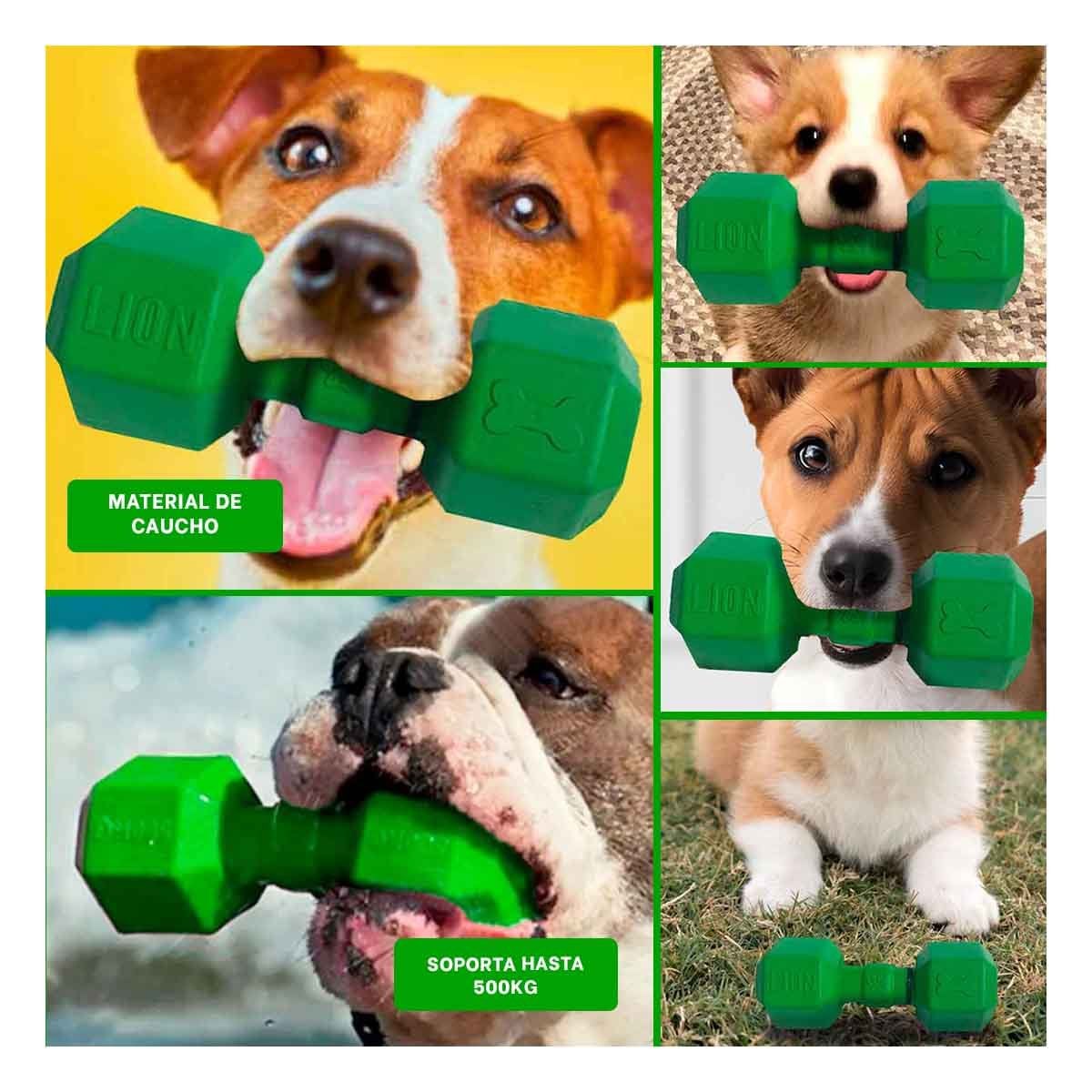 PACK4 MODULO DE CAUCHO TIPO PESAS PARA PERRO VERDE SEGURO Y DURADERO PRO Y+REGALO STICKER - 2