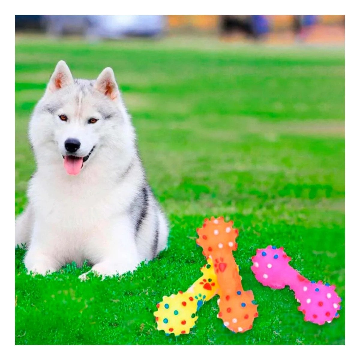 PACK4 JUGUETE PLASTICO HUESO CON PUNTOS PARA PERRO FIRME Y+PAPEL REGALO - 1