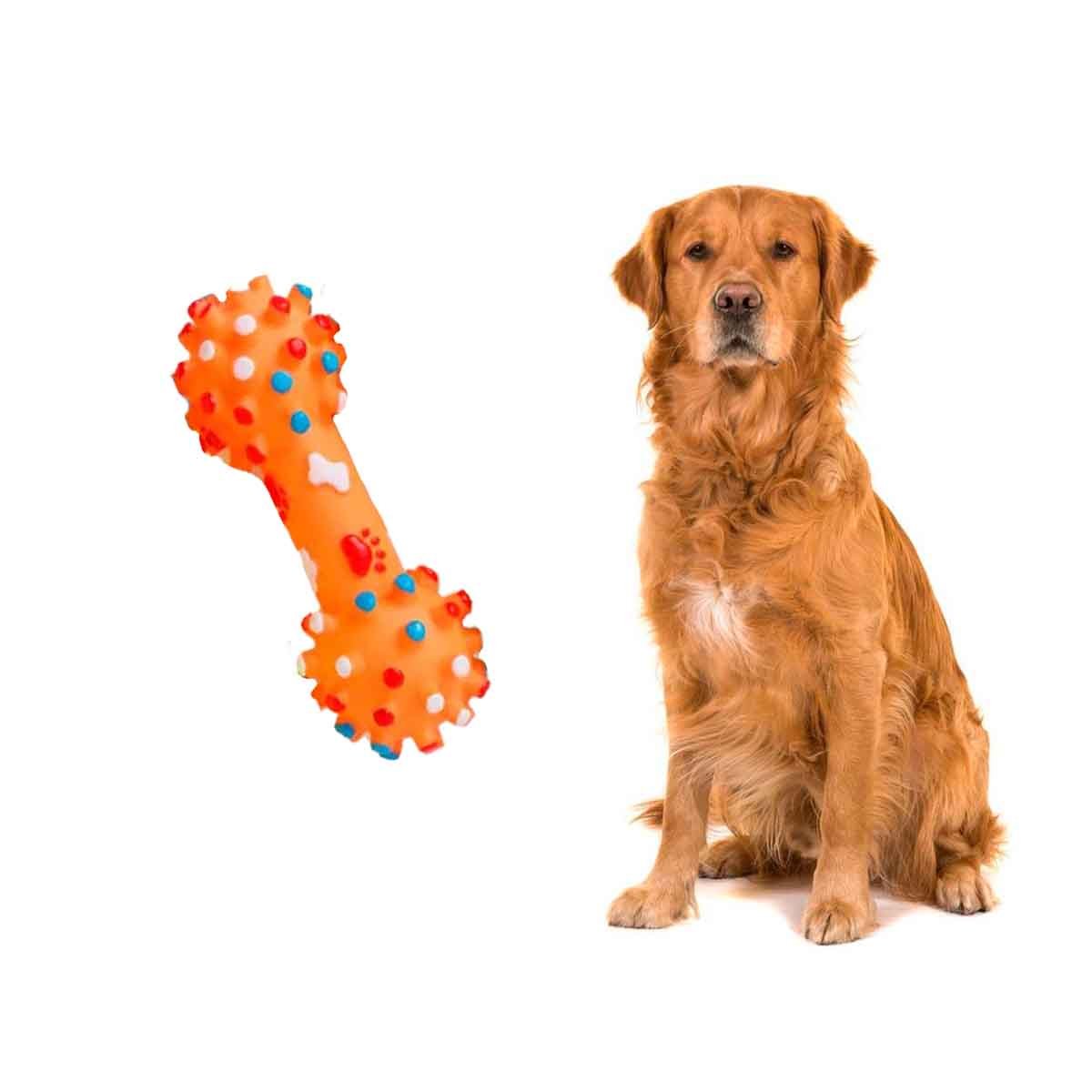 PACK4 JUGUETE PLASTICO HUESO CON PUNTOS PARA PERRO FIRME Y+PAPEL REGALO - 3