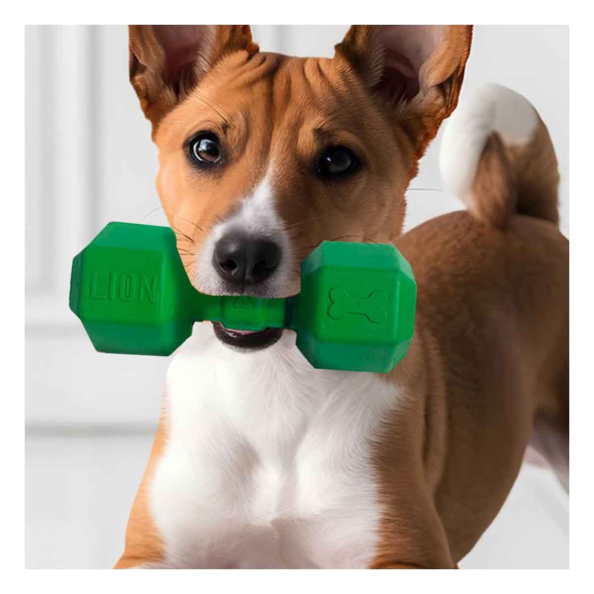 PACK6 EQUIPO DE CAUCHO TIPO PESAS PARA PERRO VERDE RESISTENTE CONTINUO Y+PAPEL REGALO - 2