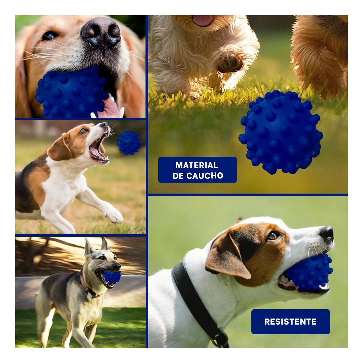 PACK4 DISPOSITIVO DE JUEGO AZUL MEDIANA PARA PERROS CON MATERIAL DURABLE Y+REGALO STICKER - 2