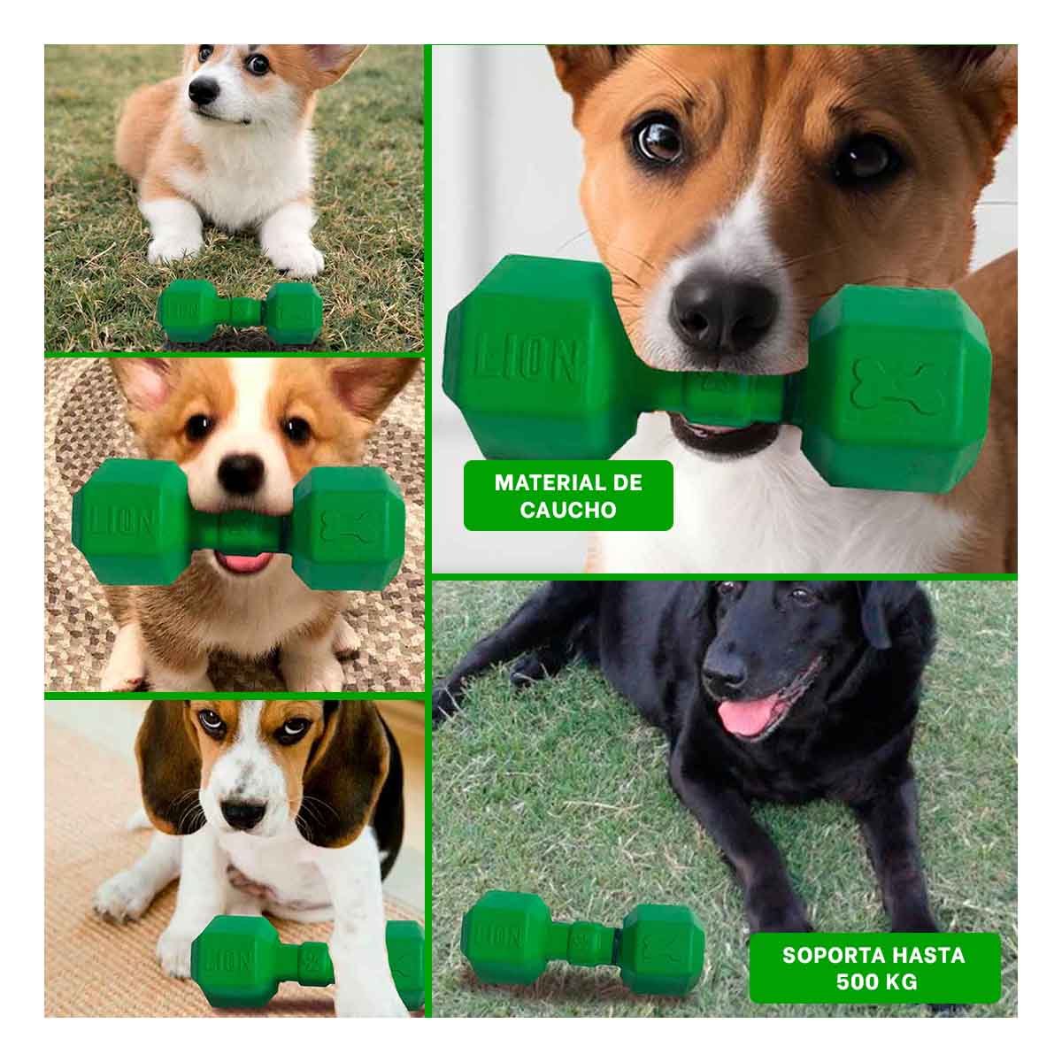 PACK2 PRODUCTO CANINO DE CAUCHO TIPO PESAS PARA PERRO VERDE RESISTENTE FIRME Y+PAPEL REGALO - 3