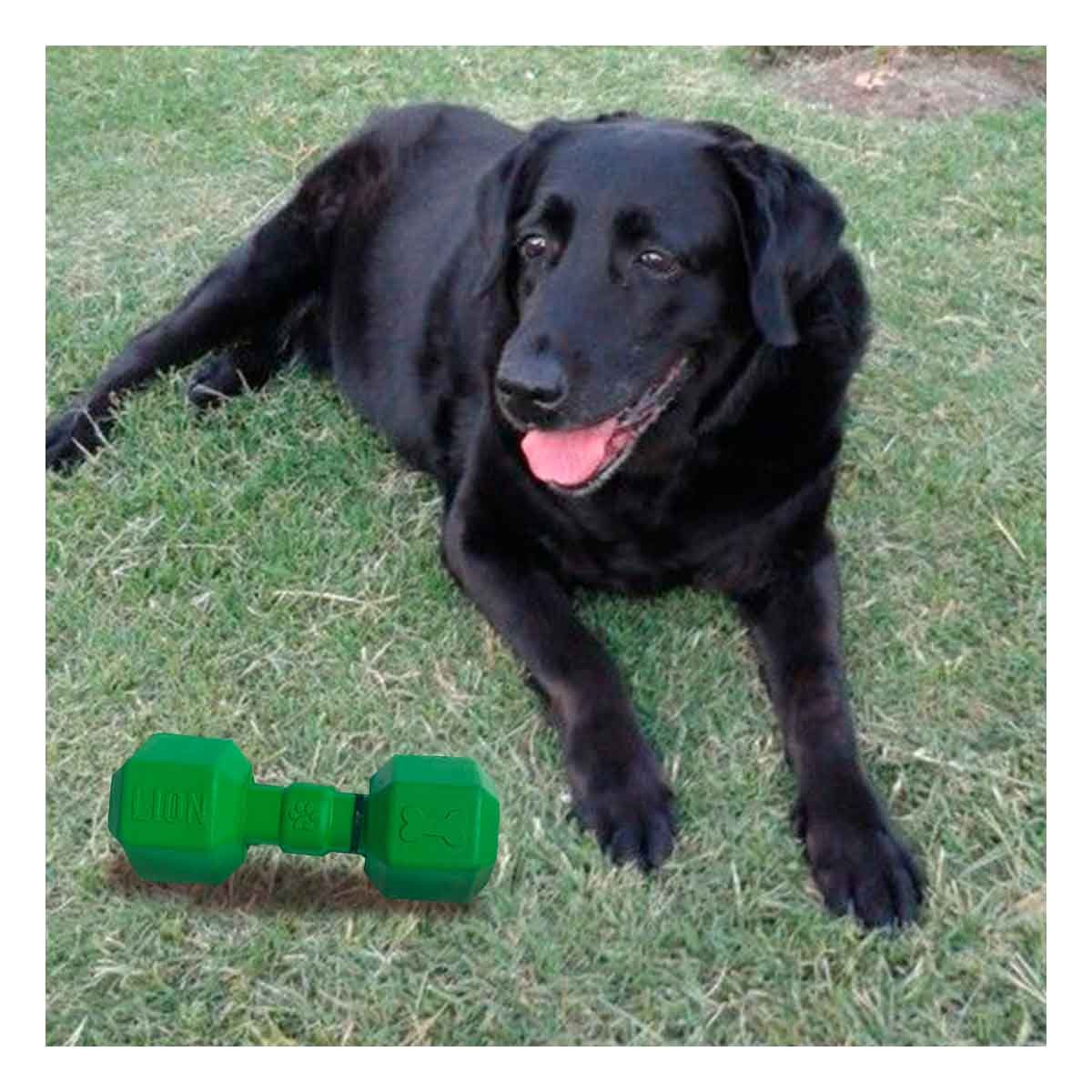 PACK2 PRODUCTO CANINO DE CAUCHO TIPO PESAS PARA PERRO VERDE RESISTENTE FIRME Y+PAPEL REGALO - 5