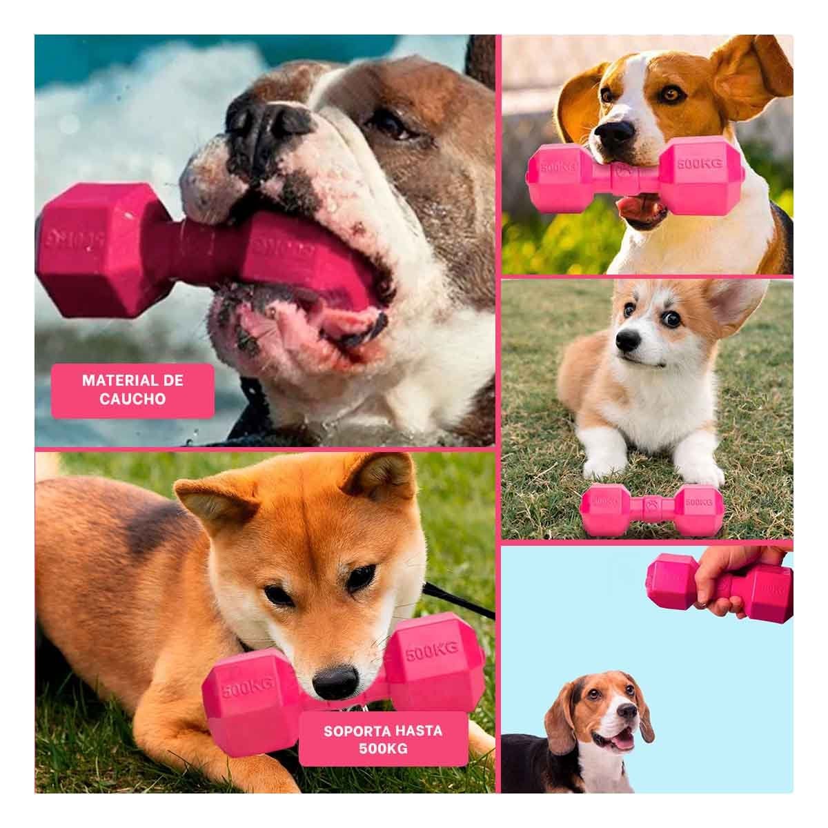 PACK4 OBJETO DURADERO DE CAUCHO PESAS ROSADO PARA PERRO Y+REGALO STICKER - 2