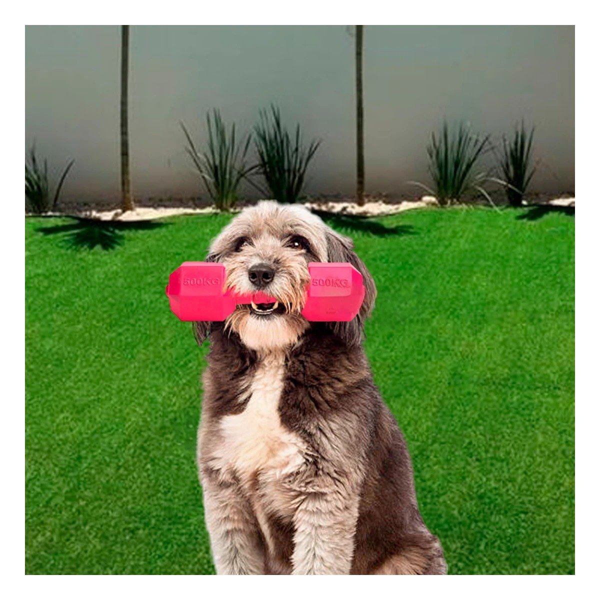 PACK4 OBJETO DURADERO DE CAUCHO PESAS ROSADO PARA PERRO Y+REGALO STICKER - 3