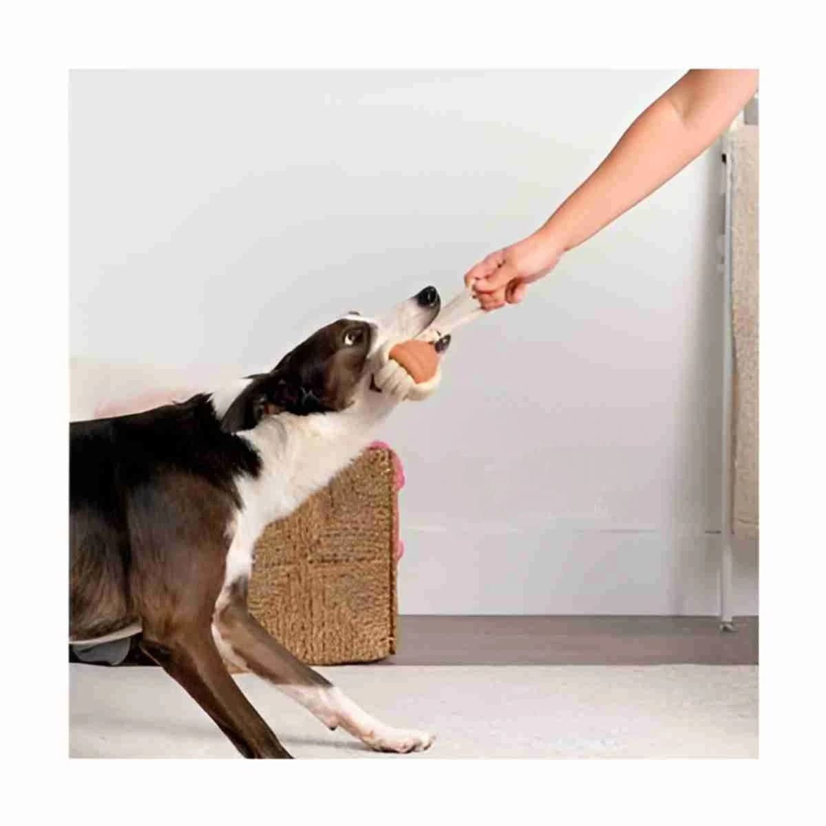 PACK2 INTERACTIVO SOGA CON PELOTA MOSTAZA PARA PERRO ACTIVO Y JUEGO DIARIO Y+REGALO STICKER - 3