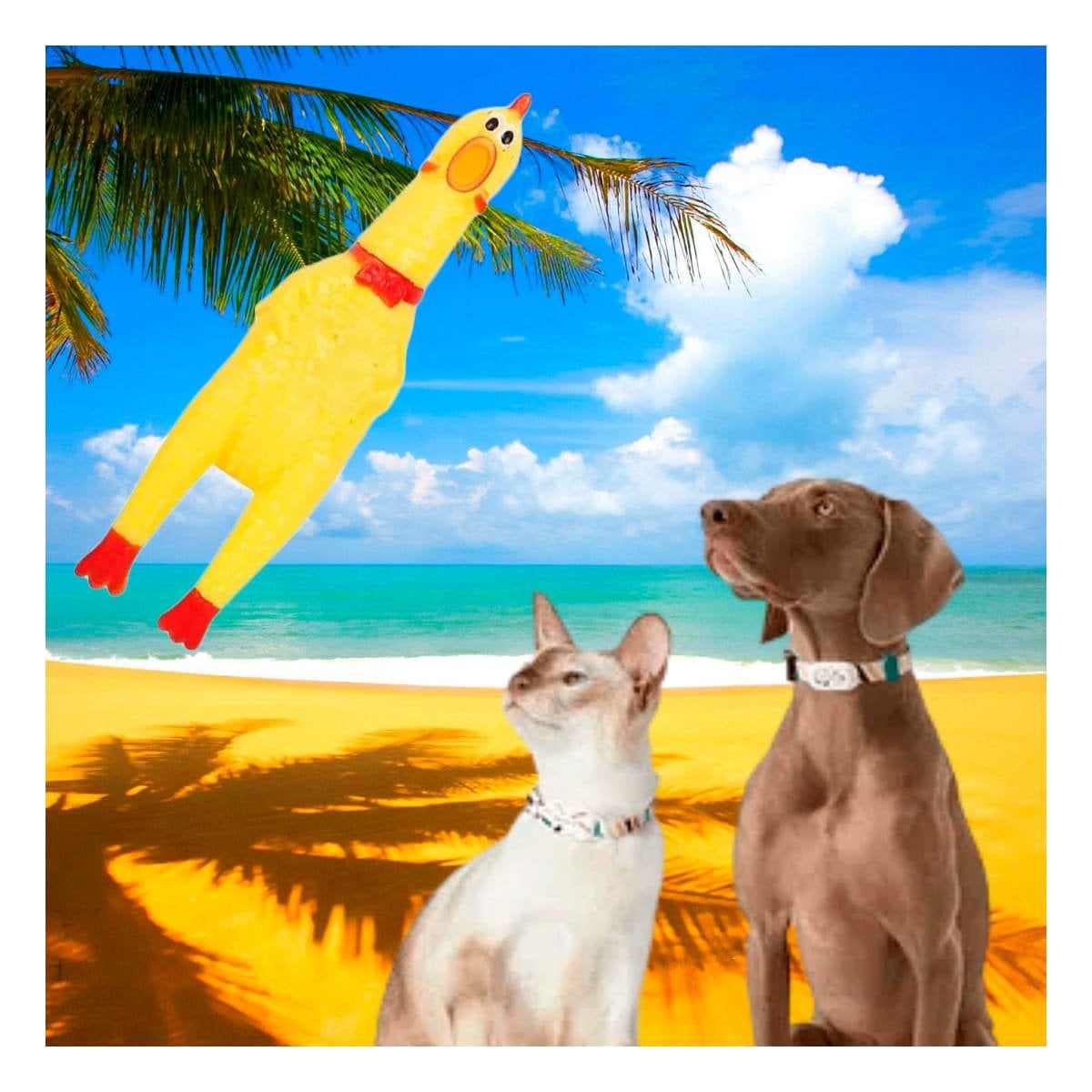 PACK6 PROPUESTA POLLO SONORO PARA PERRO TALLA S AMARILLO RESISTENTE DURABLE PET - 3