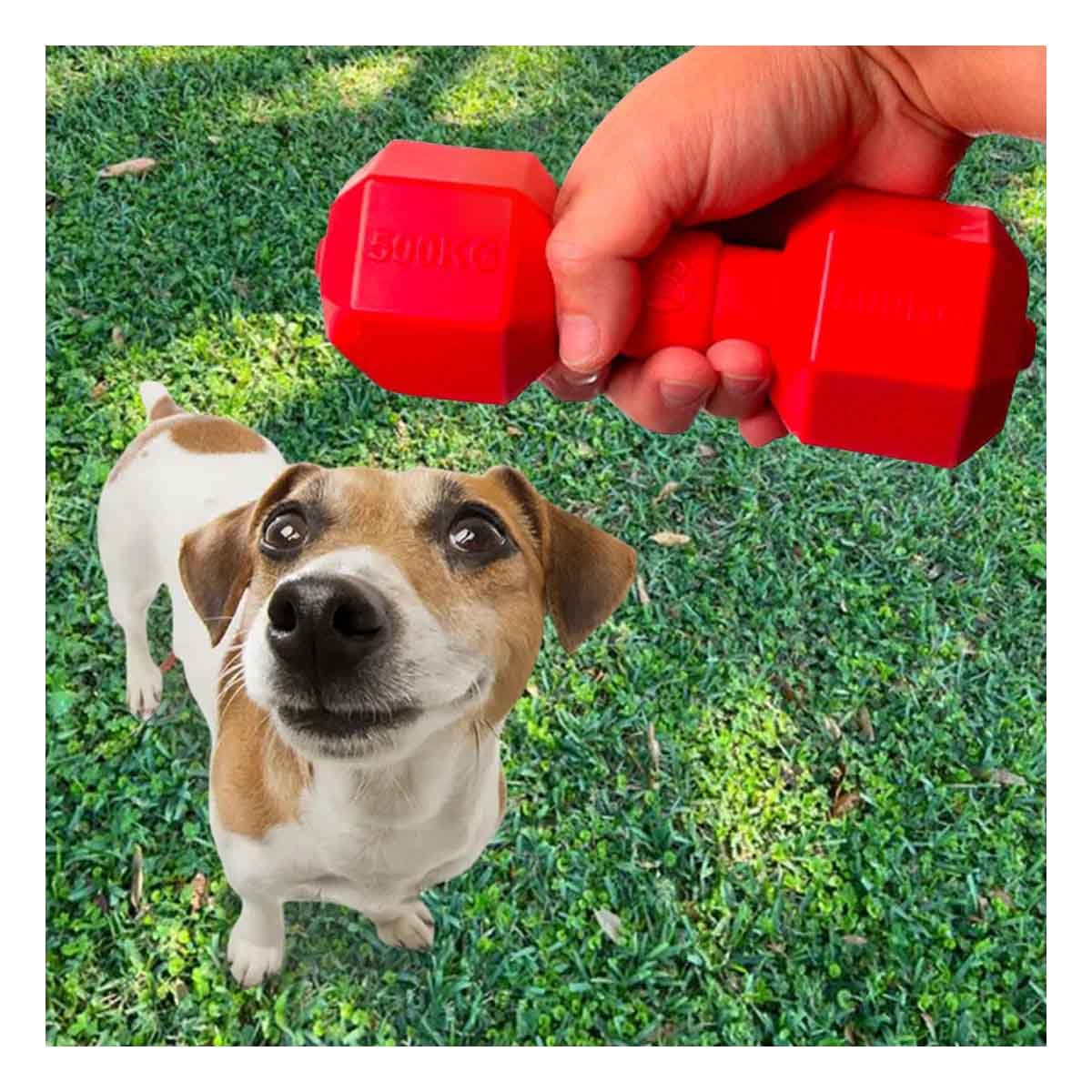PACK2 ACCESORIO INTERACTIVO CAUCHO FORMA PESAS ROJO - 3