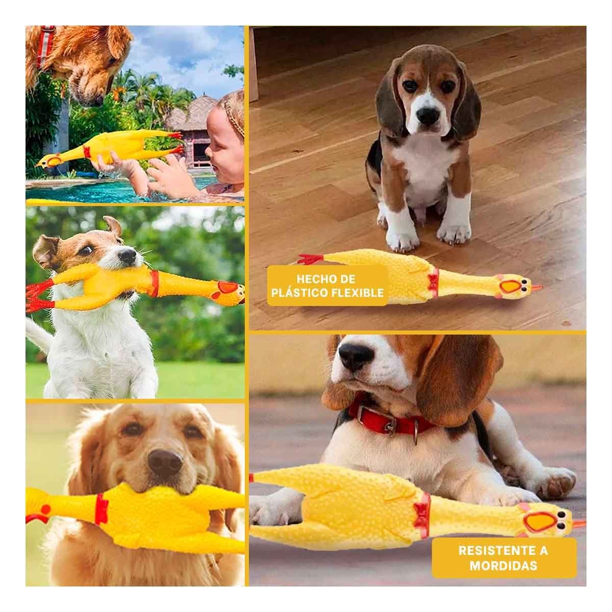 PACK6 ACCION POLLO CHILLON AMARILLO TALLA L PARA PERRO GRANDE Y+PAPEL REGALO - 3