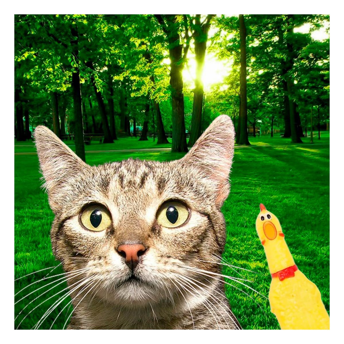 PACK2 KIT POLLO SONORO PARA PERRO TALLA S AMARILLO RESISTENTE DURABLE PET - 5